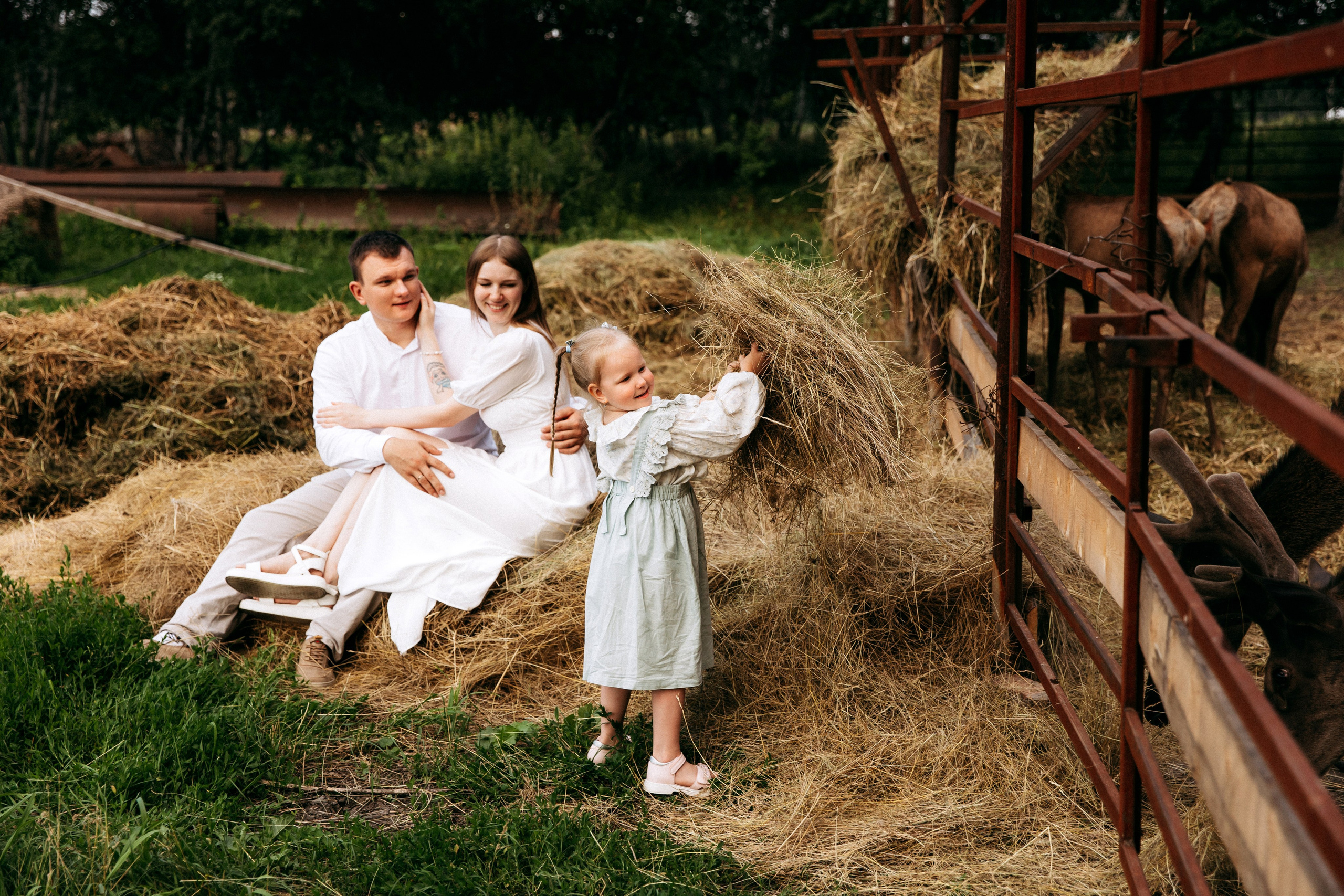 Мира и её семья. Главная