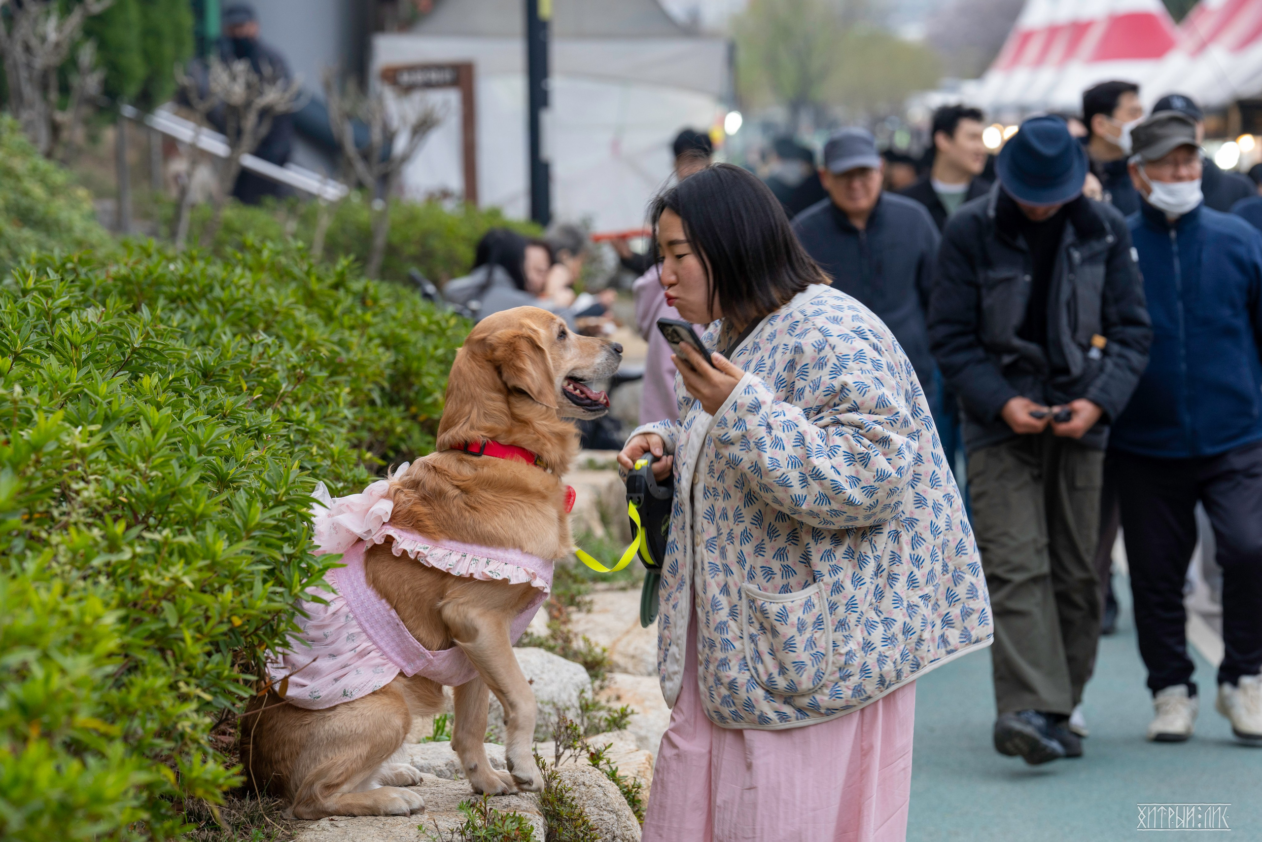 Южная Корея. Фотограф-путешественник Самойлов Максим «Sly Fox»