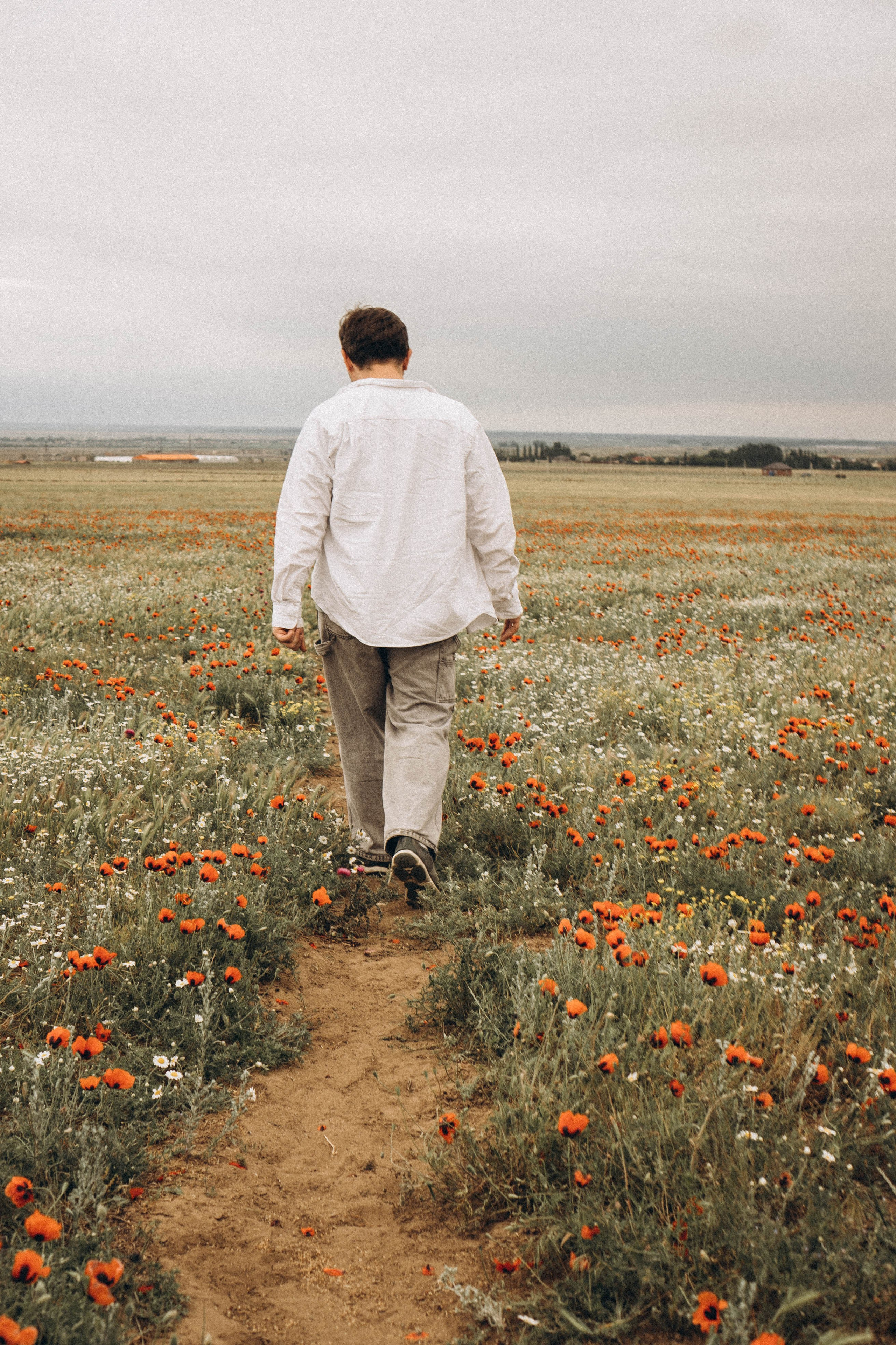 Маки. Профессиональный фотограф, Санкт-Петербург — Виктория Богомолова