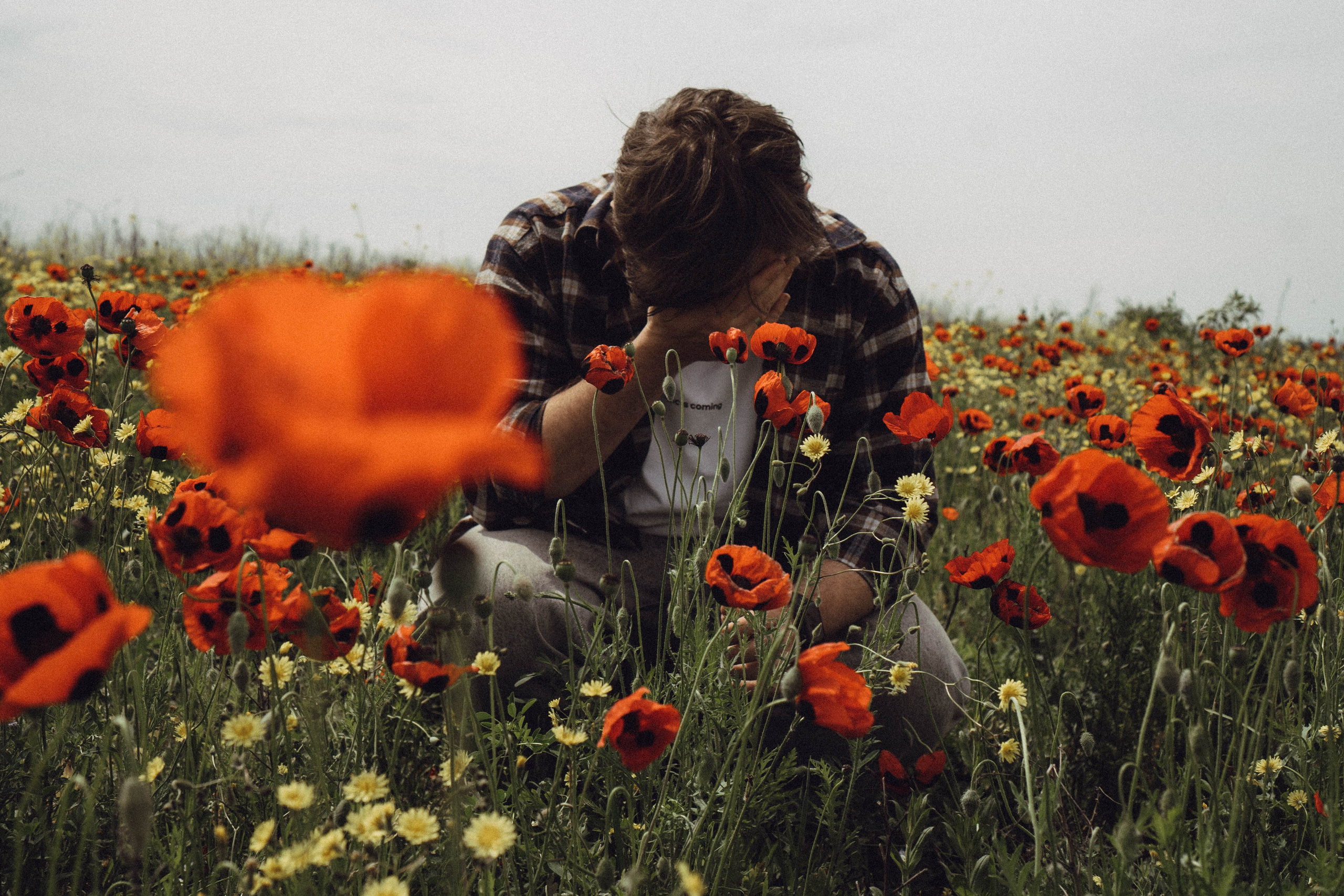 Маки. Профессиональный фотограф, Санкт-Петербург — Виктория Богомолова