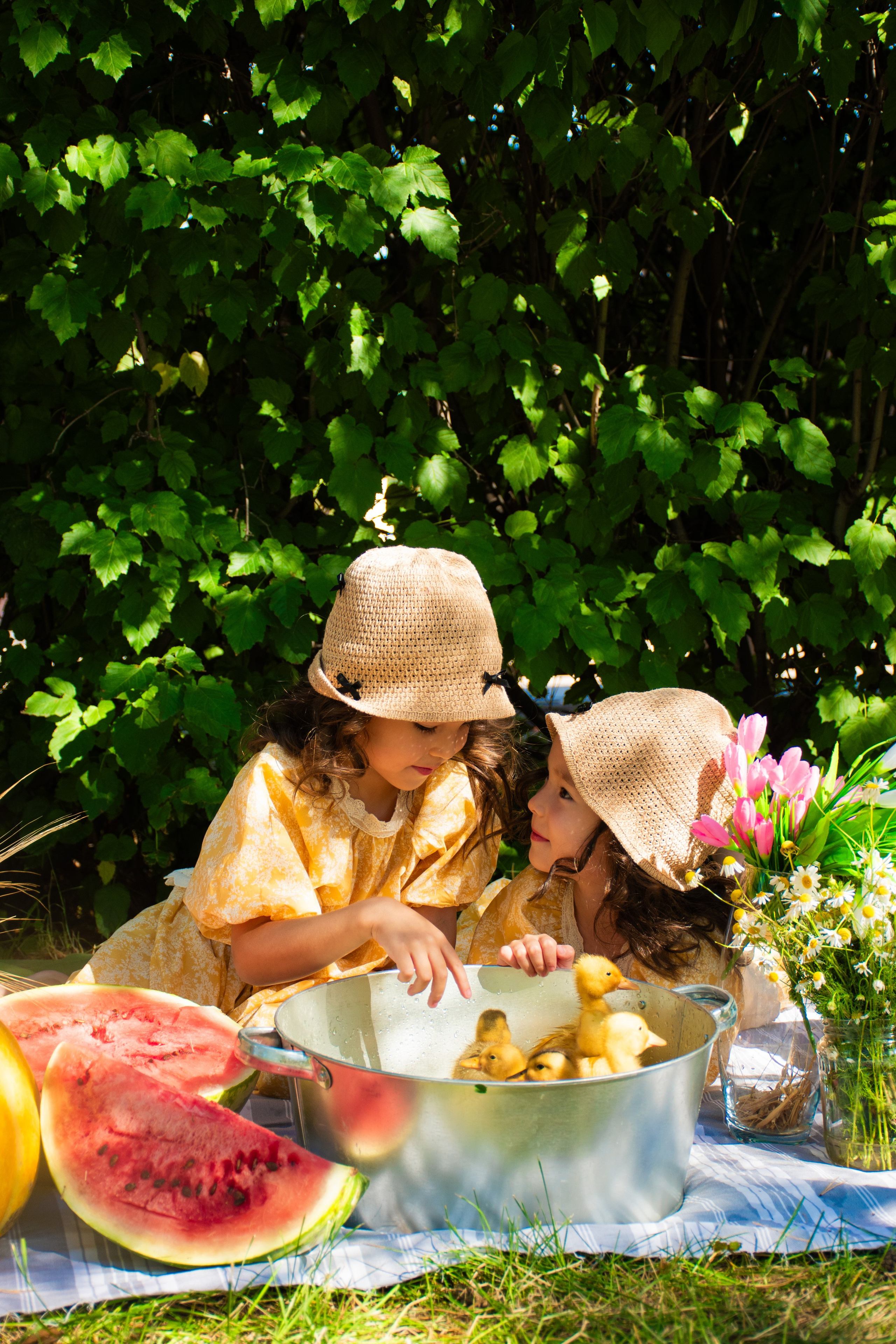Фотодень «Утята». Фотограф Астана