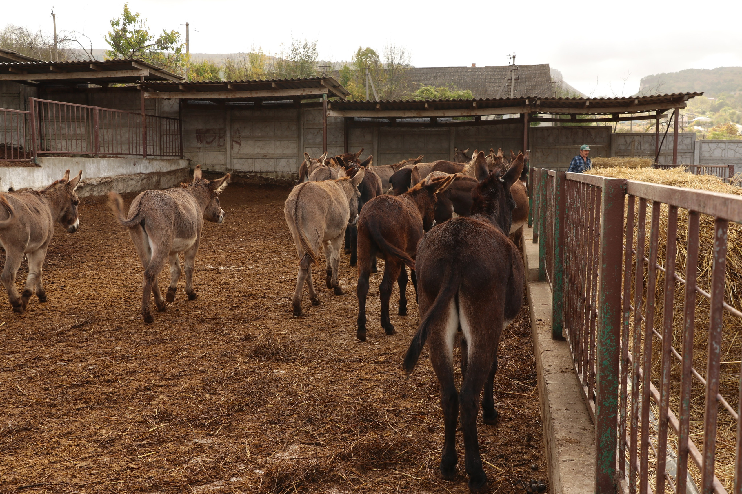 Крым. ЮБК (Гурзуф, Судак и их окрестности). Ноябрь 2023. Путешественник-фотограф из Санкт-Петербурга Татьяна Свистулина
