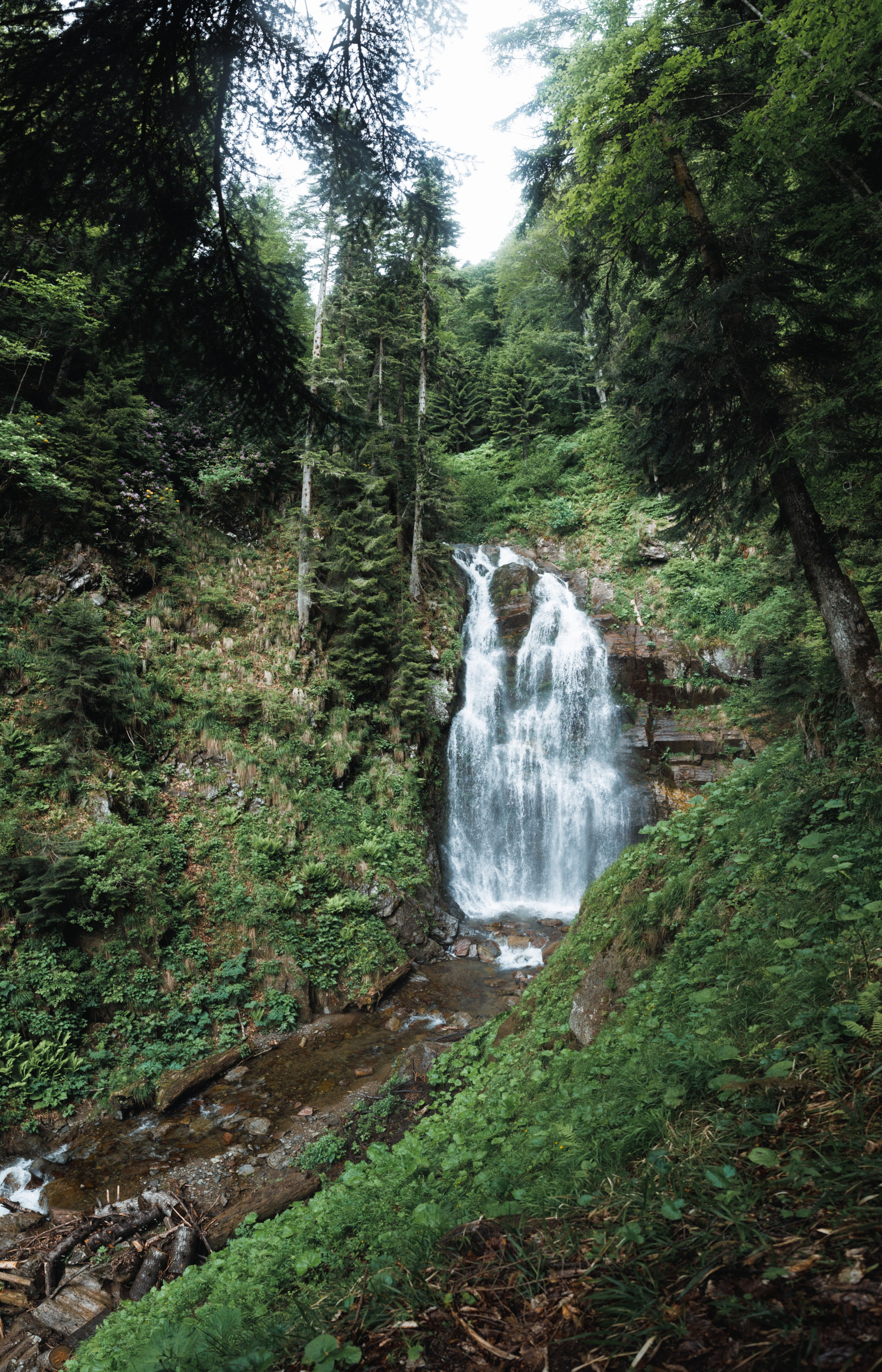 Nature. Артем Корнев Фотограф