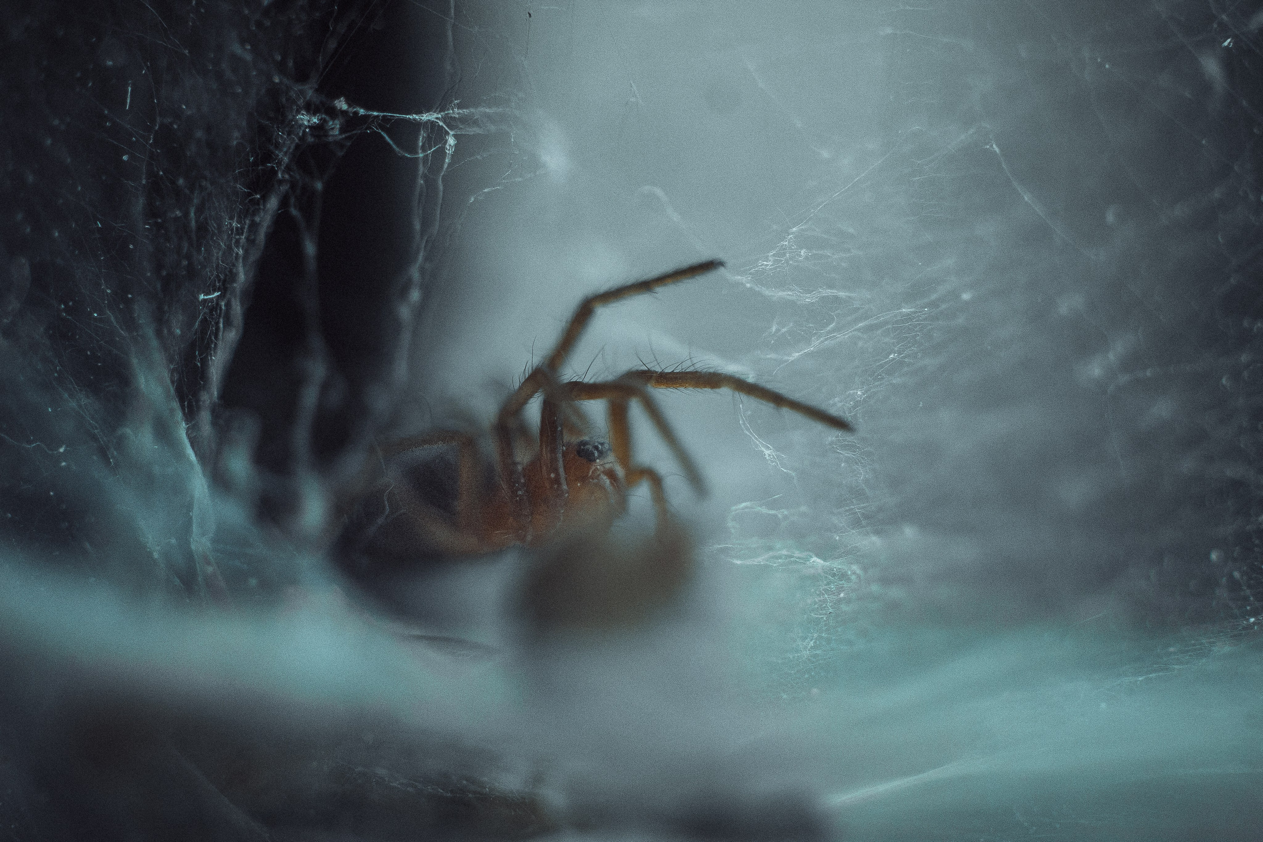 Nature. Артем Корнев Фотограф