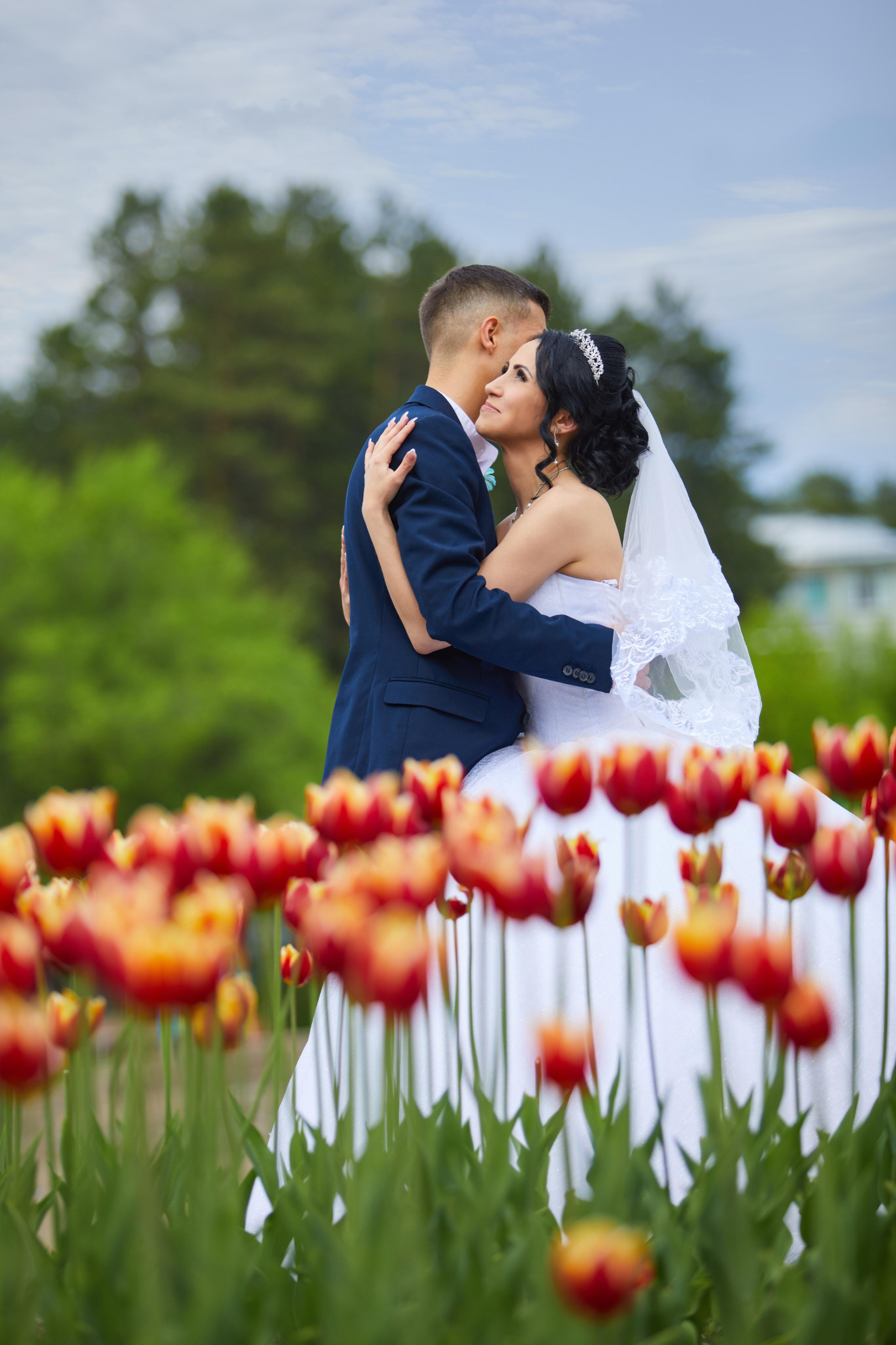 жених и невеста обнимаются на переднем плане красно-желтые тюльпаны