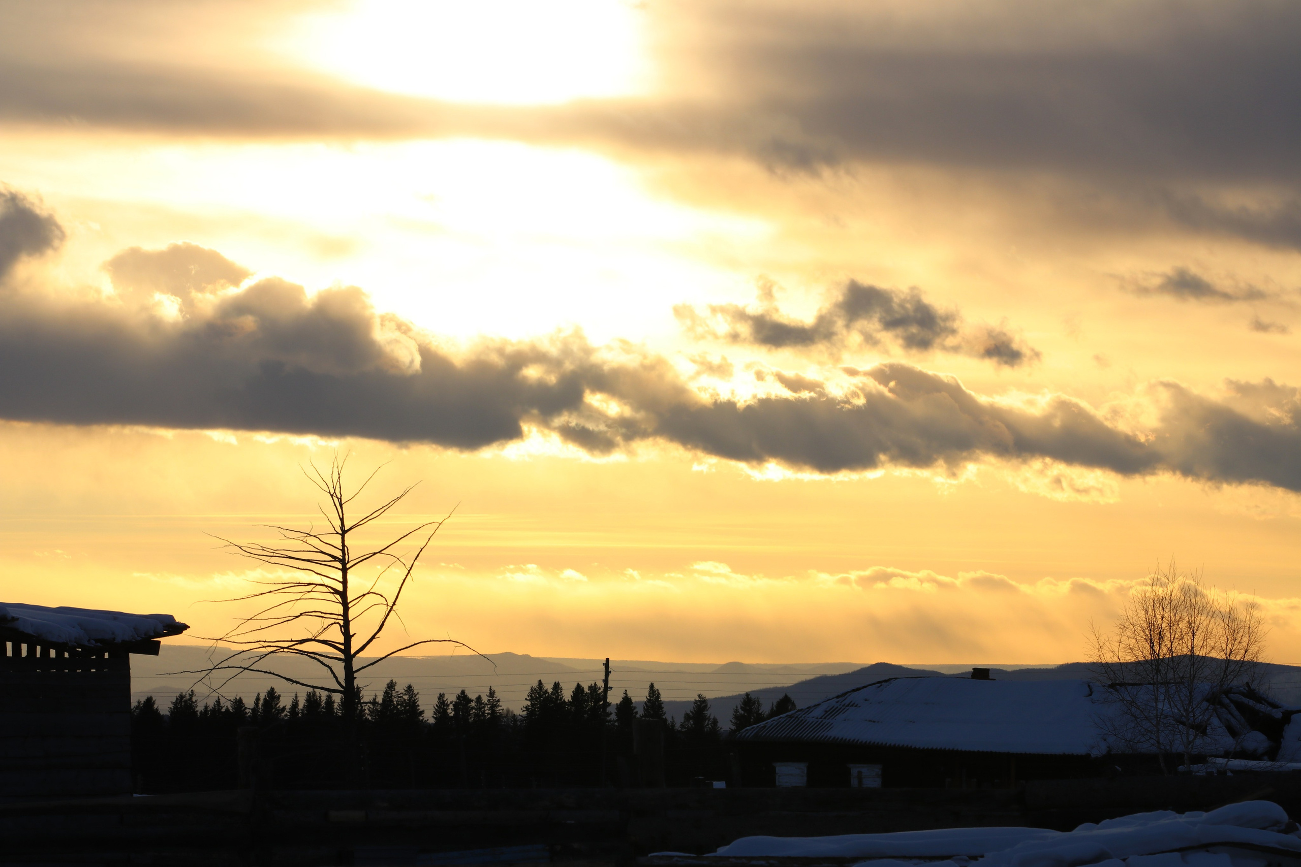 Аршан. Февраль 2025. Путешественник-фотограф из Санкт-Петербурга Татьяна Свистулина