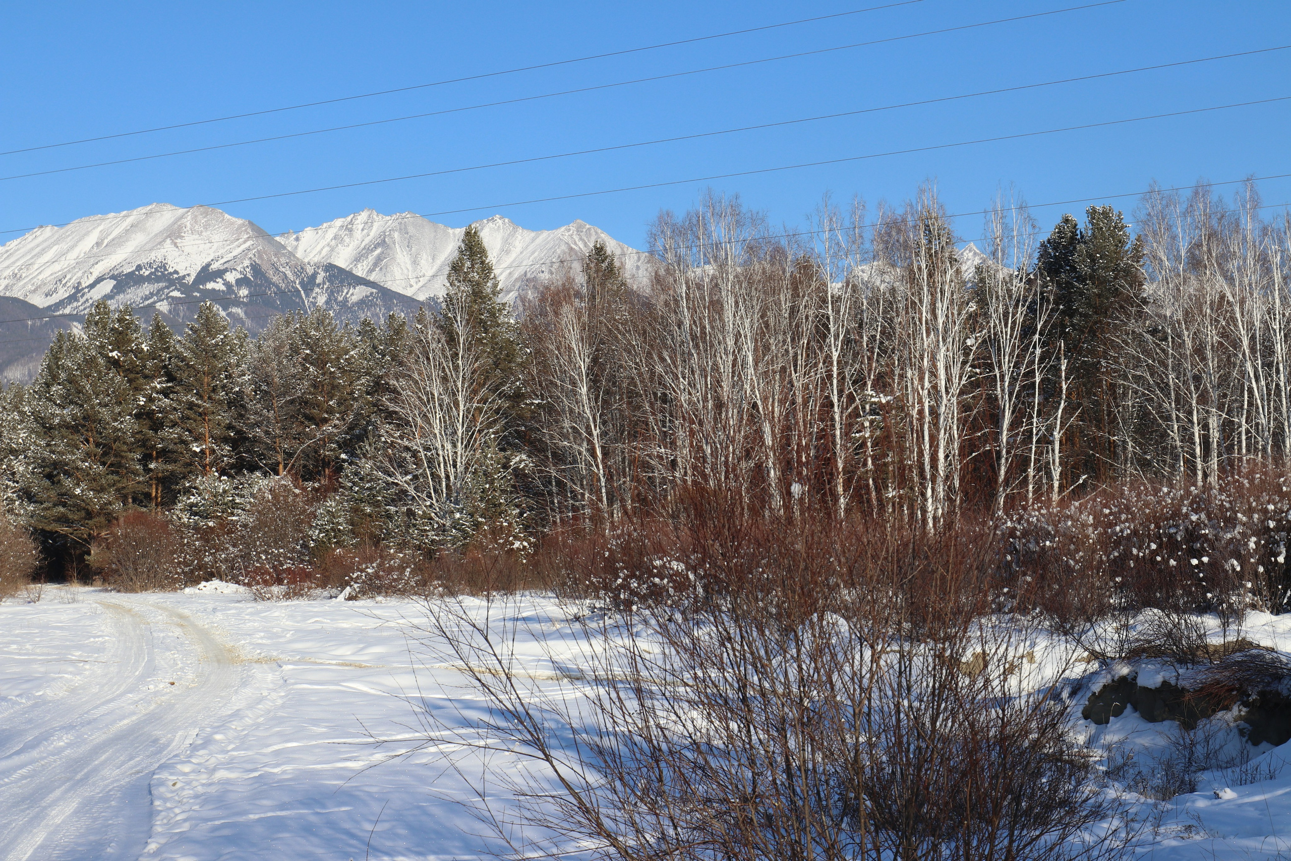Аршан. Январь 2022. Путешественник-фотограф из Санкт-Петербурга Татьяна Свистулина