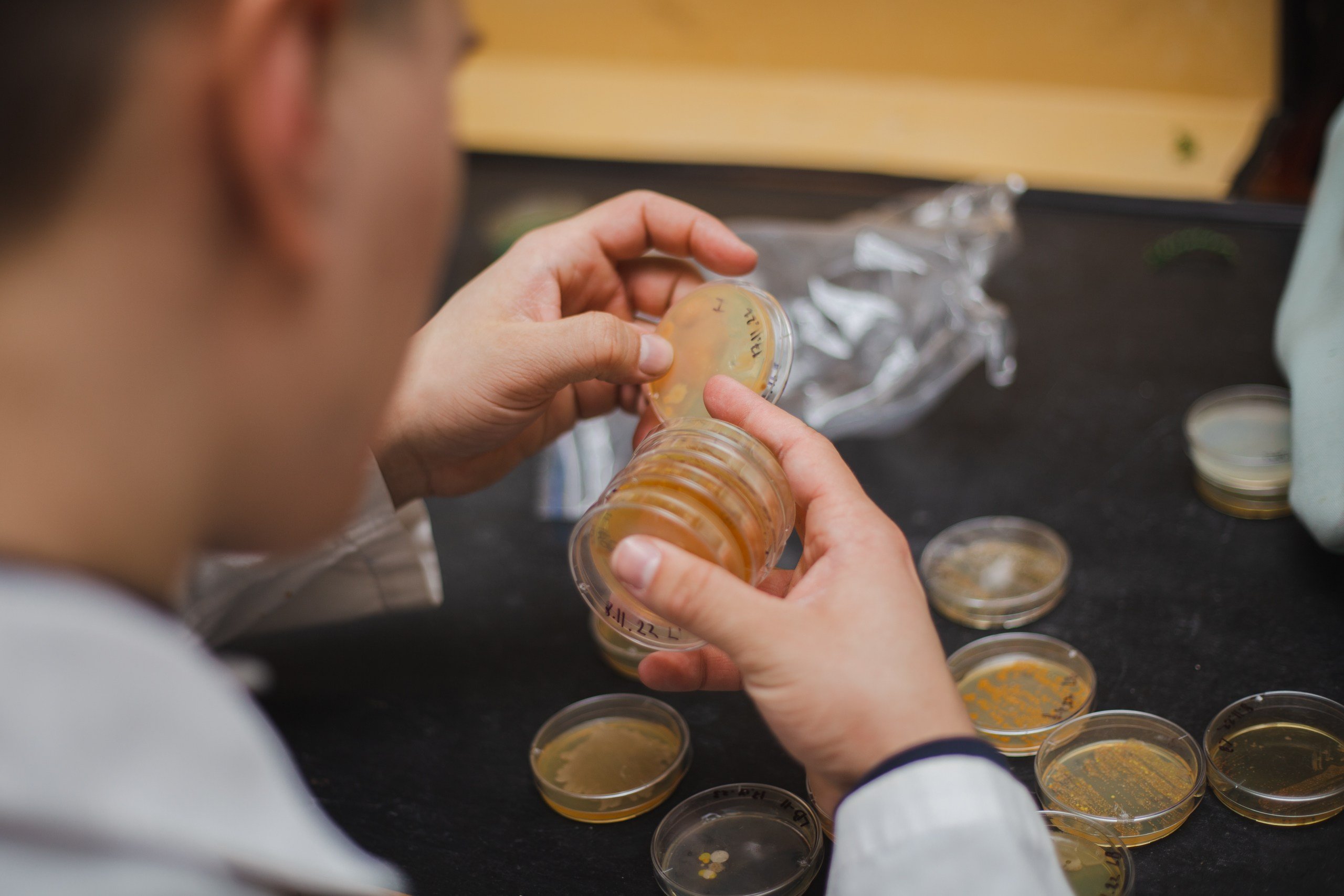 Репортаж Наука. Фотограф в Ярославле Ольга Пыненкова