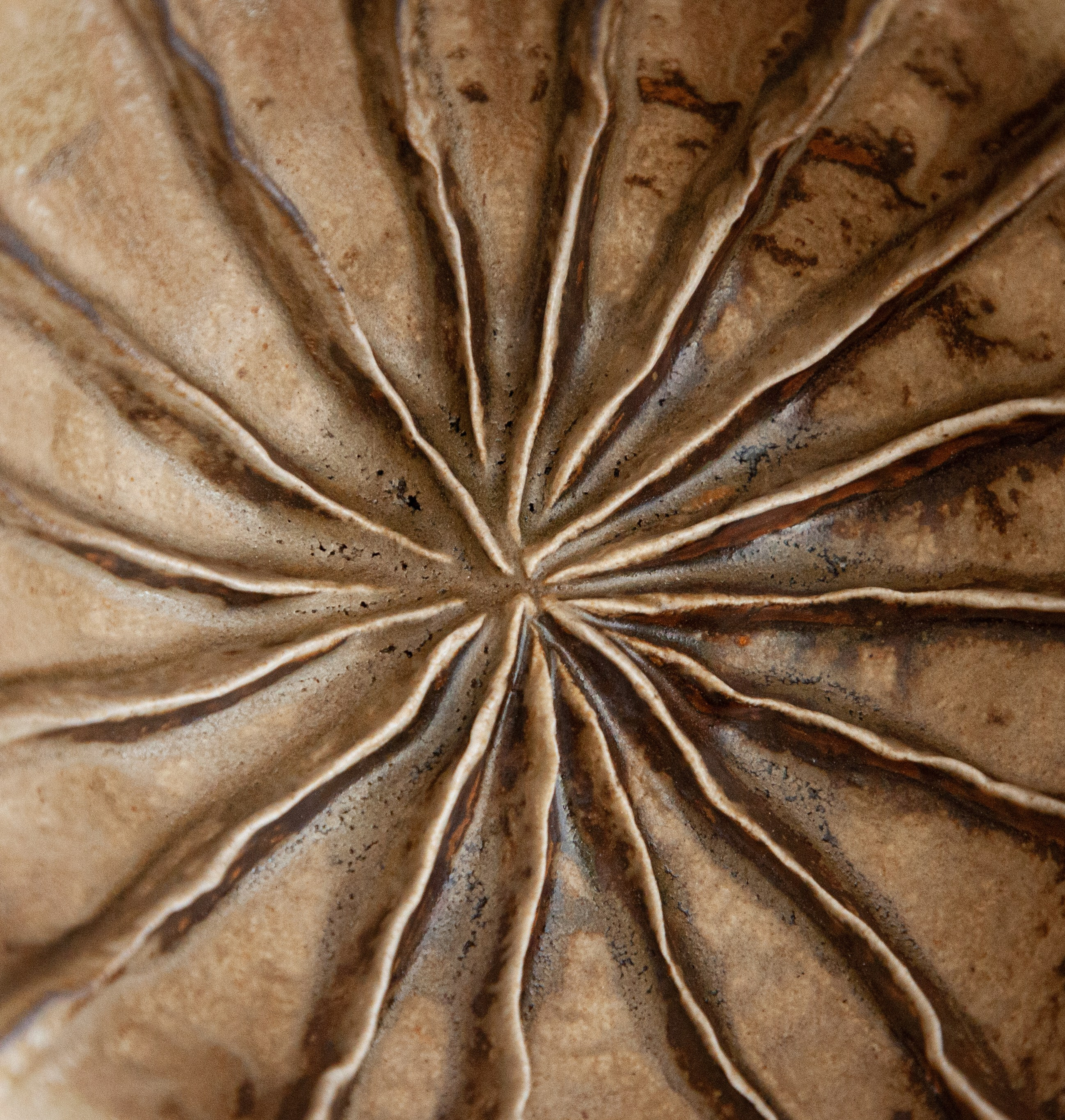 — Керамика для Екатерины. Фотограф | Москва