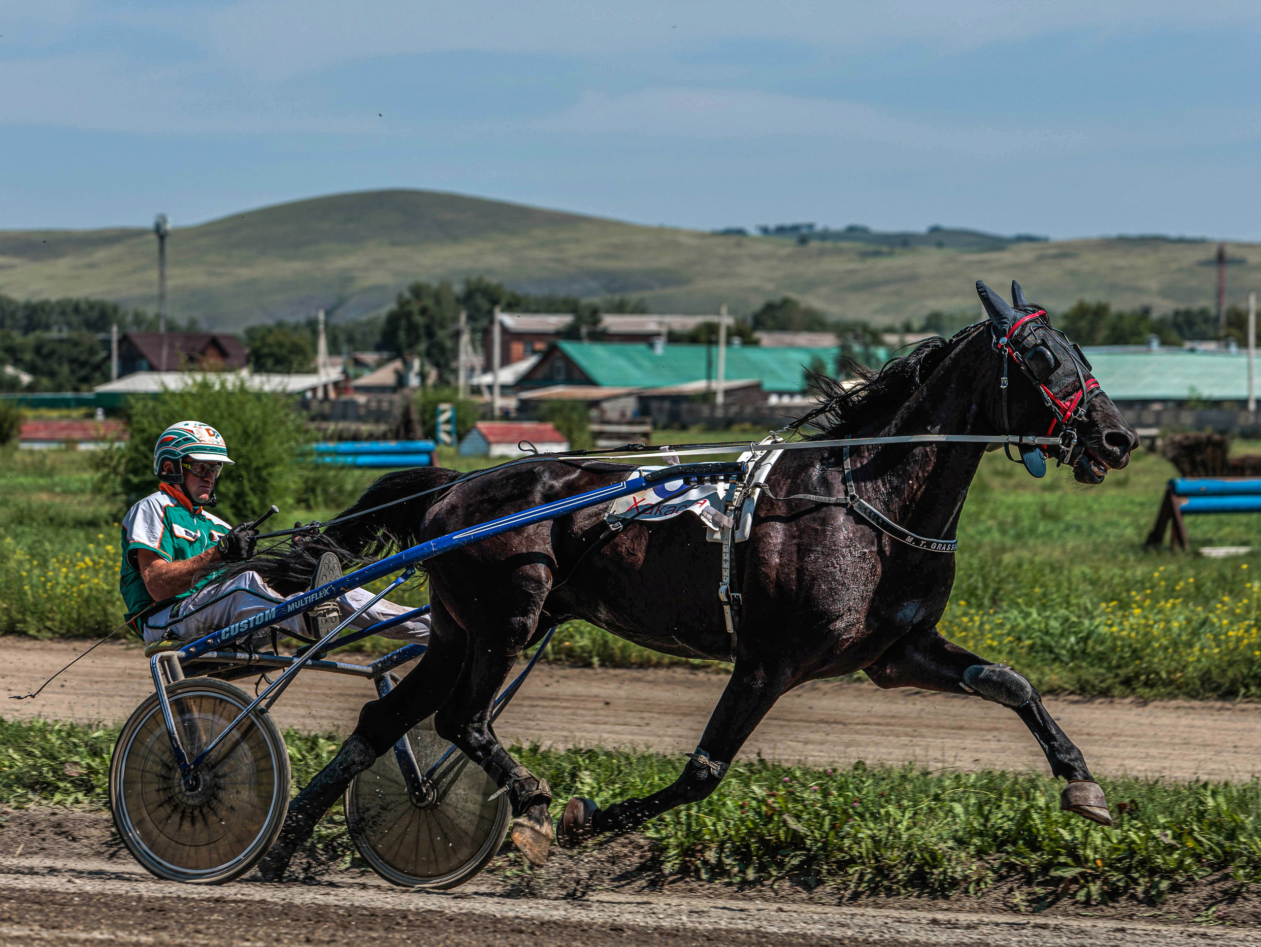 Зарисовки Абаканский ипподром 2025. Конный фотограф в Красноярске — Любовь Похабова