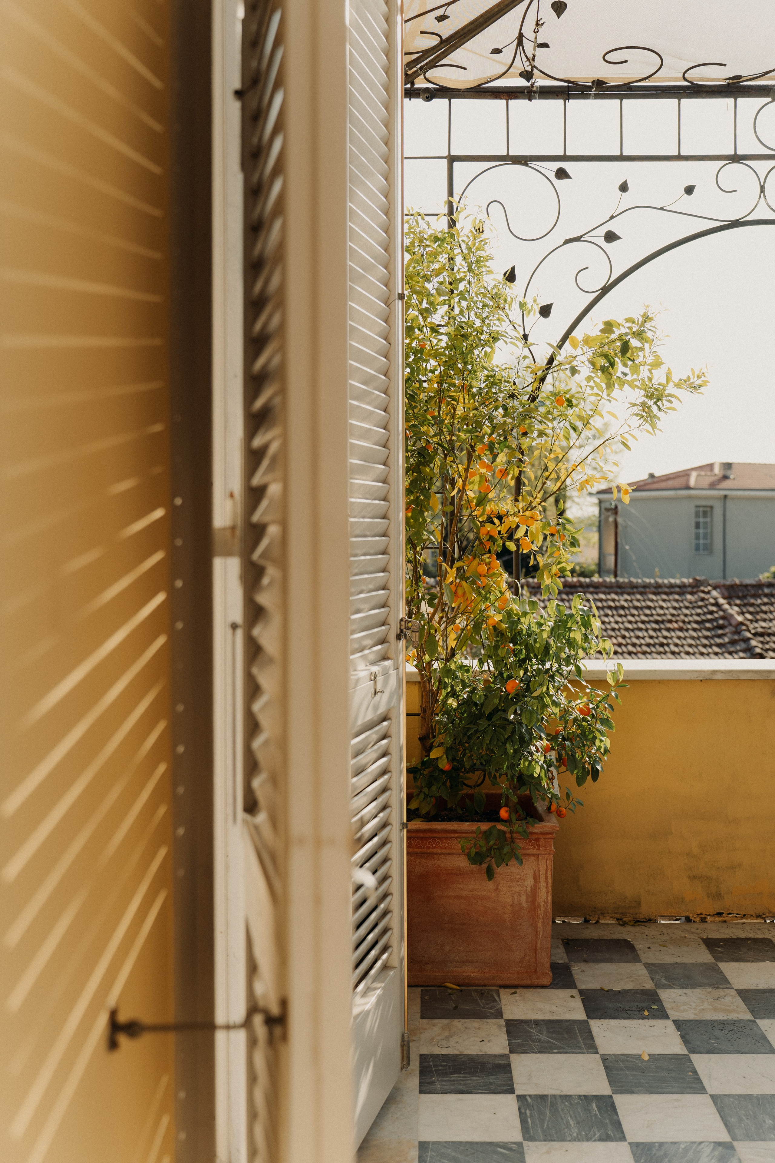 Palazzo Guiscardo | Pietrasanta