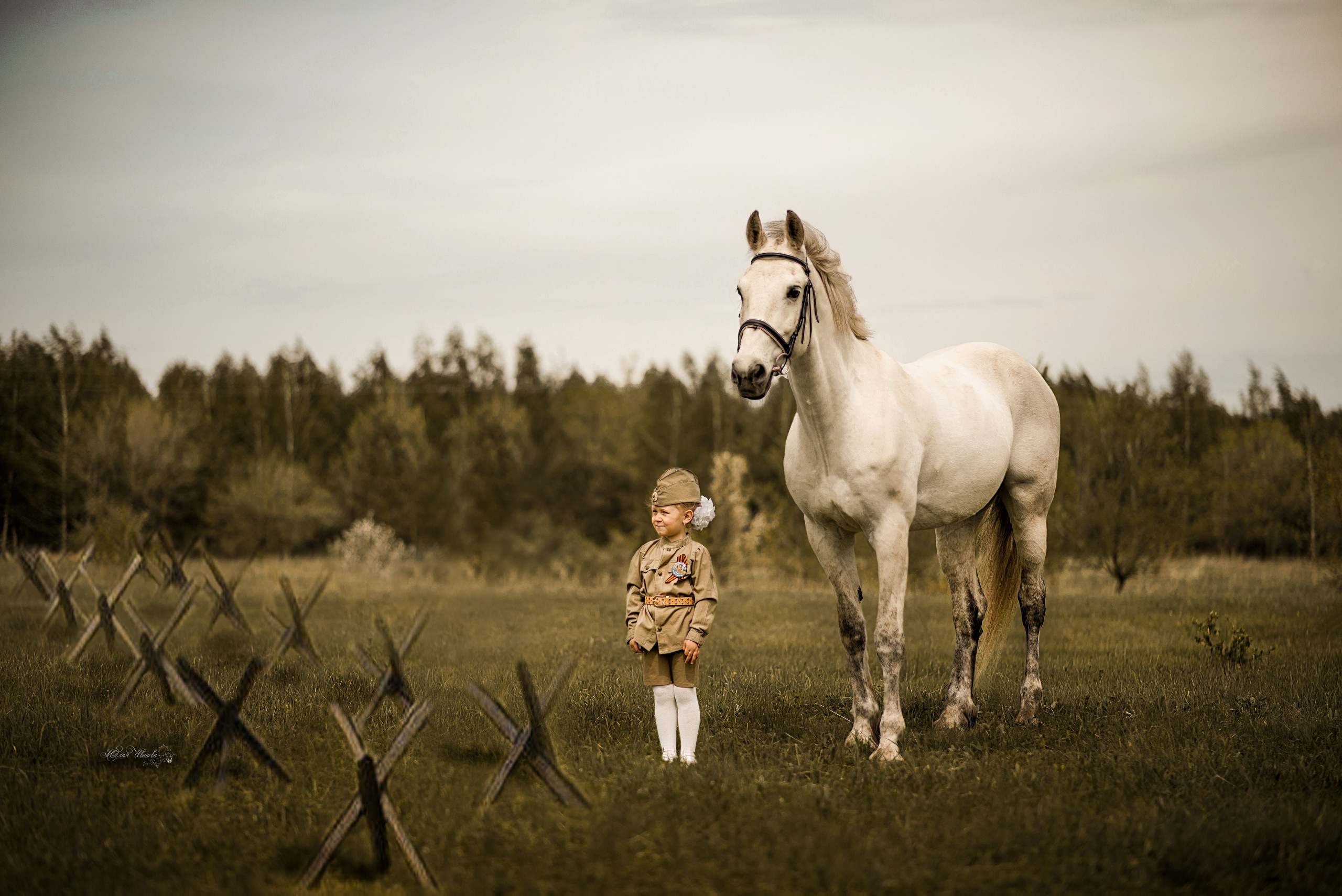 Мирослава и Гипноз. Конный фотограф в Саратове Юлия Иванова