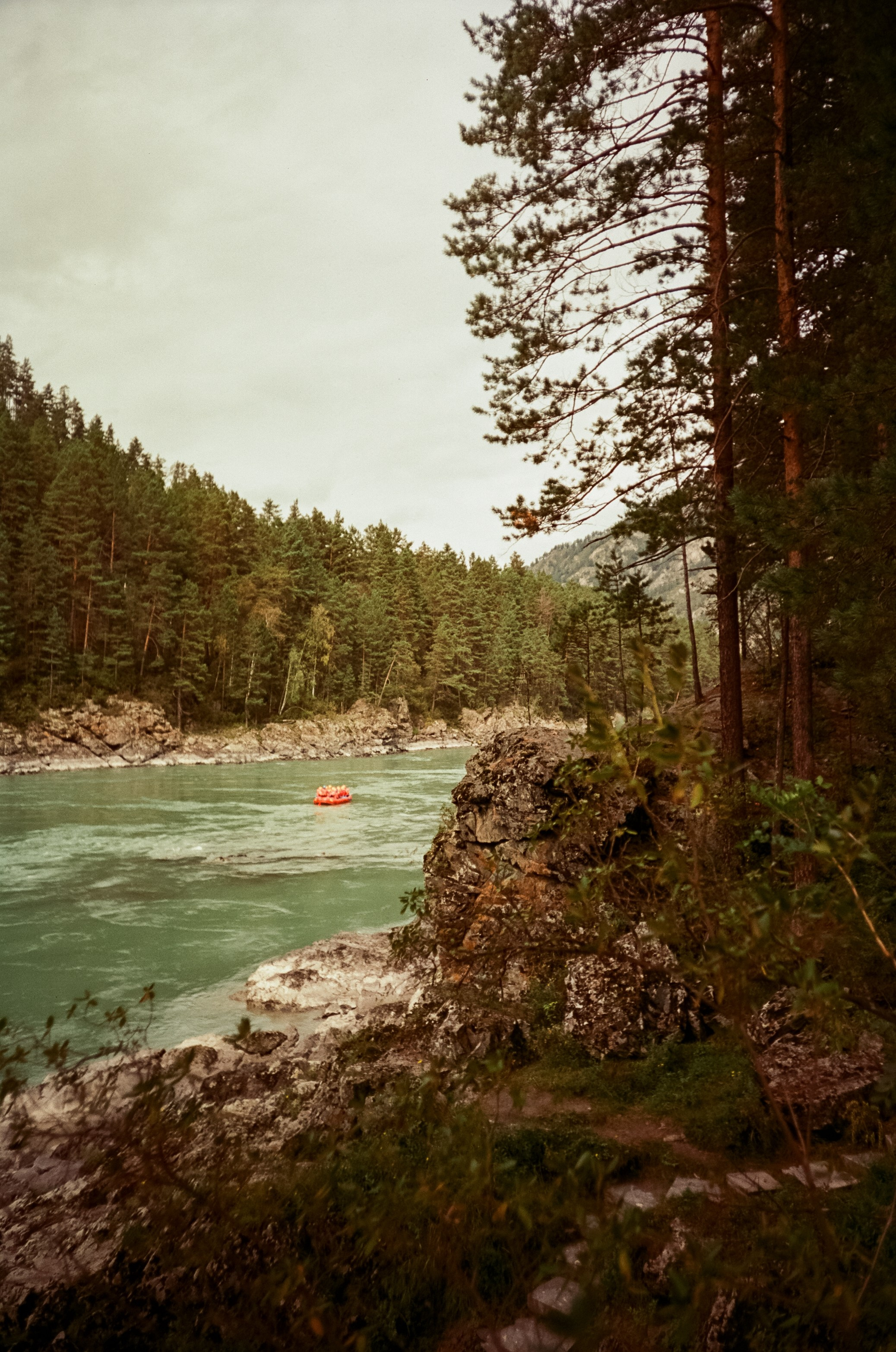 Село Черга в Верхах Алтая. Лошадки в Манжероке и панорамы Катуни. Фотограф-документалист Мария Осокина