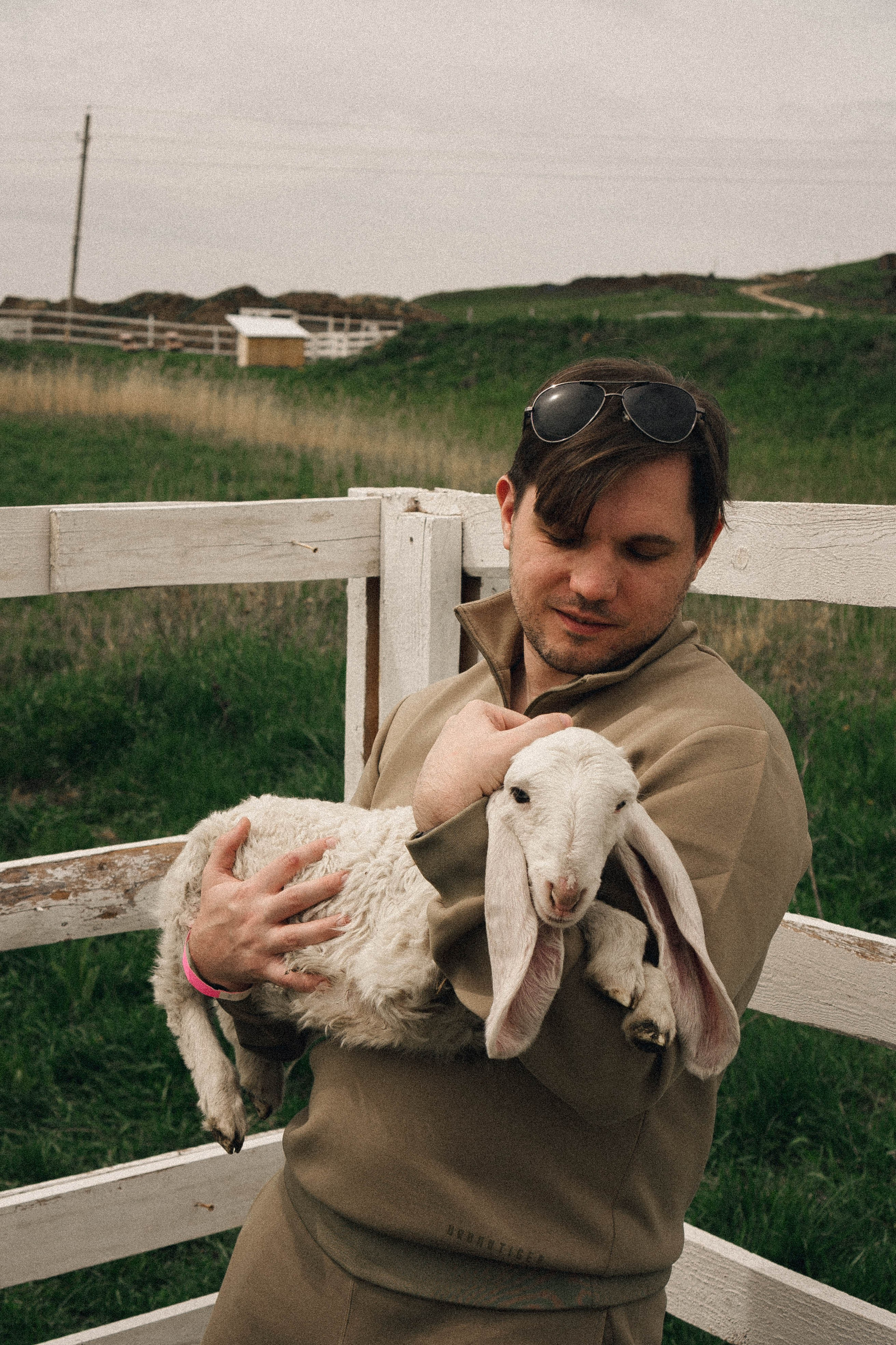 Ферма Альпак. Профессиональный фотограф, Санкт-Петербург — Виктория Богомолова