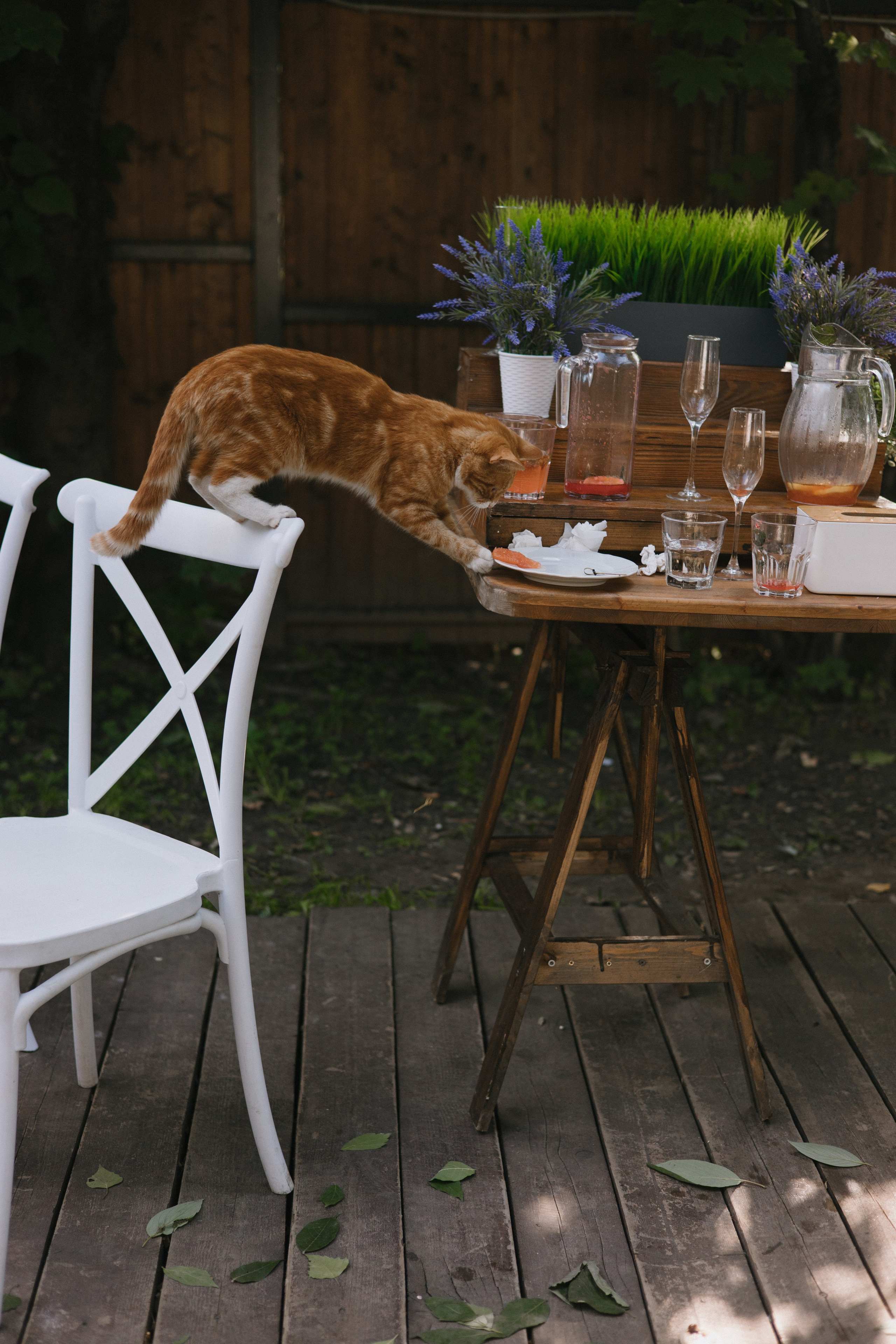 32 человека и 1 кот. Свадебный и семейный фотограф в Санкт-Петербурге и Москве