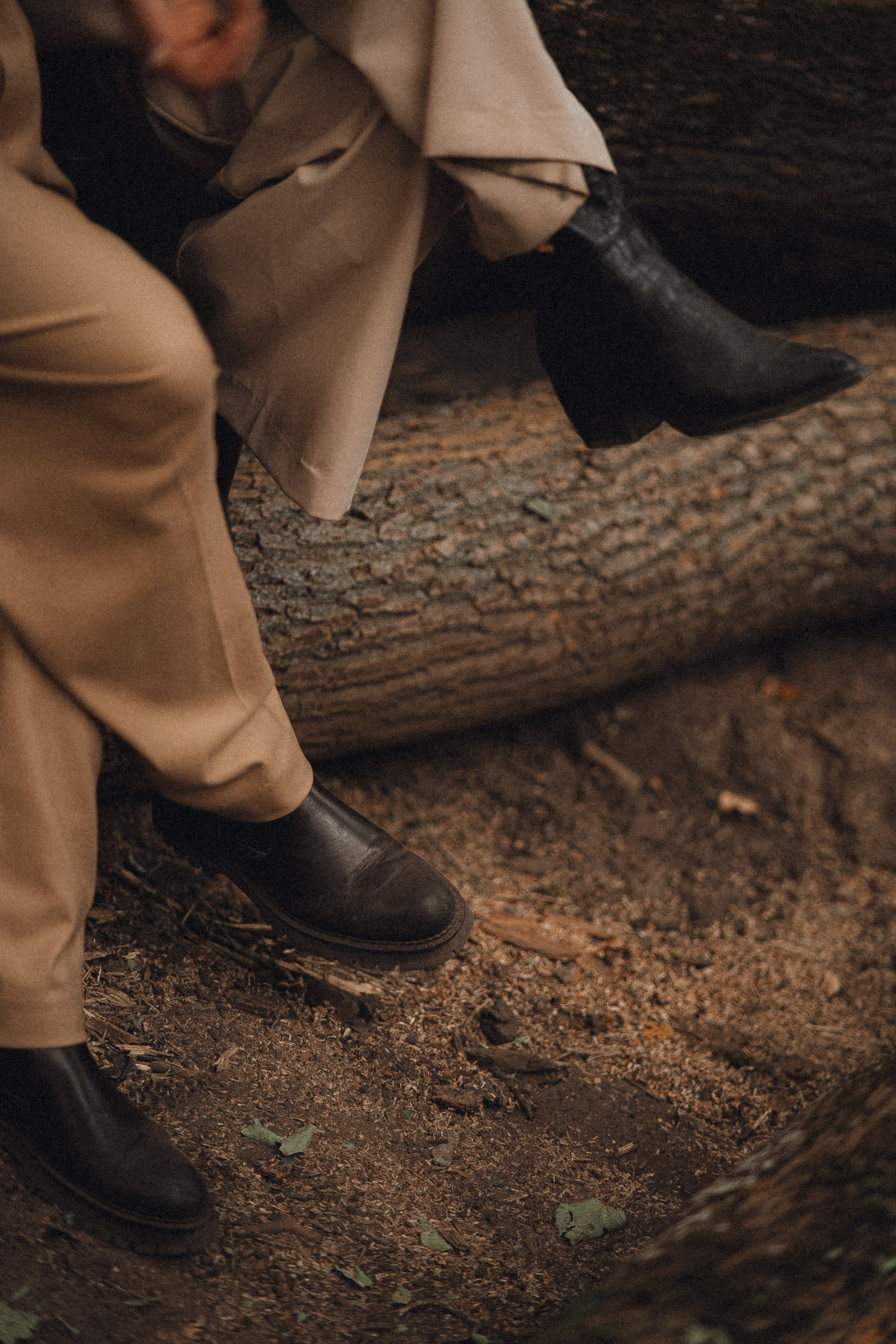 Лес. Фотограф Мария Зайчик