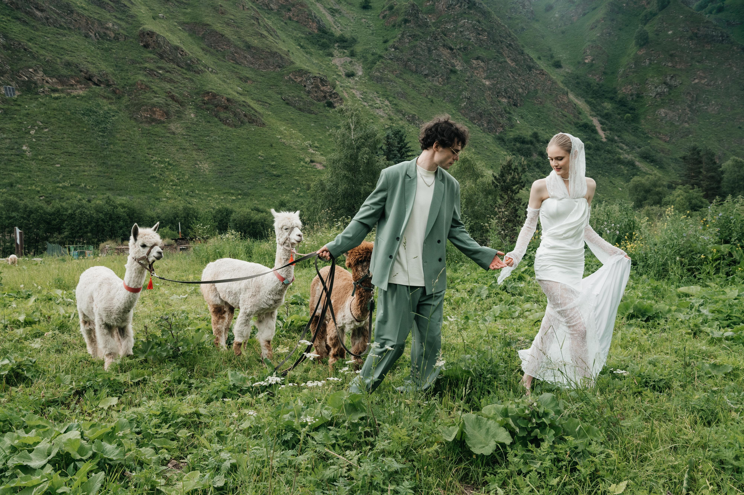 Роман и Ветта. Свадебный фотограф Ростов-на- Дону, Краснодар, Москва