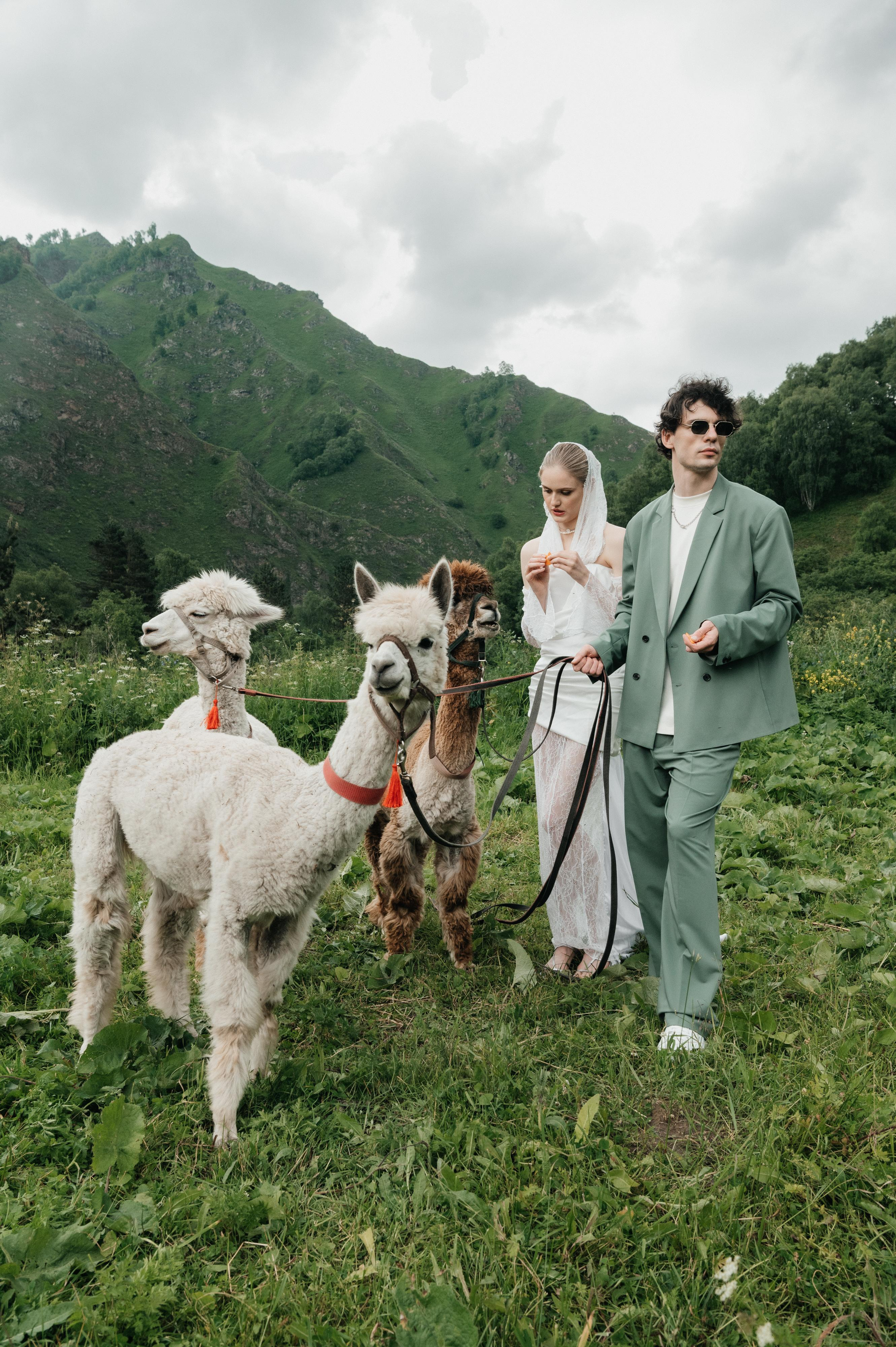 Роман и Ветта. Свадебный фотограф Ростов-на- Дону, Краснодар, Москва