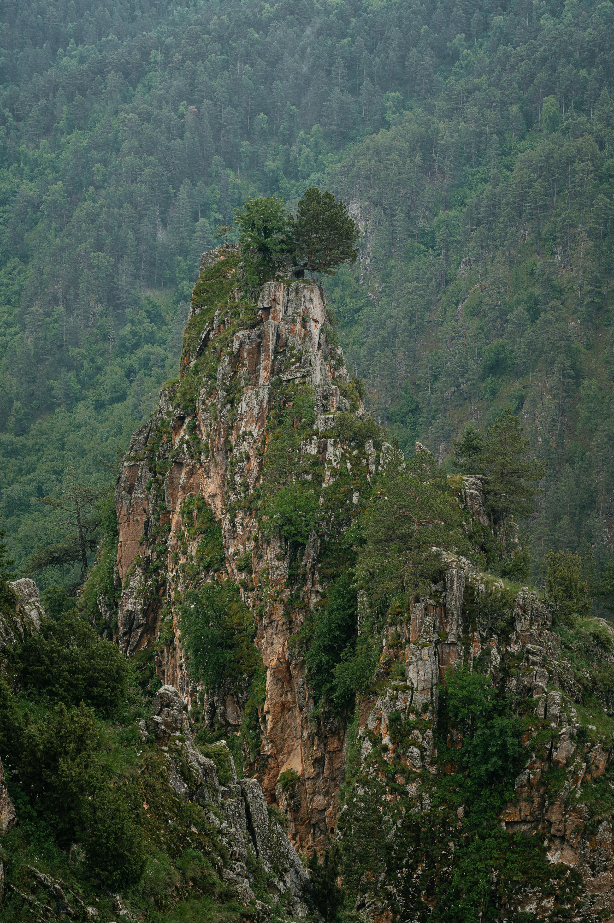 Роман и Ветта. Свадебный фотограф Ростов-на- Дону, Краснодар, Москва
