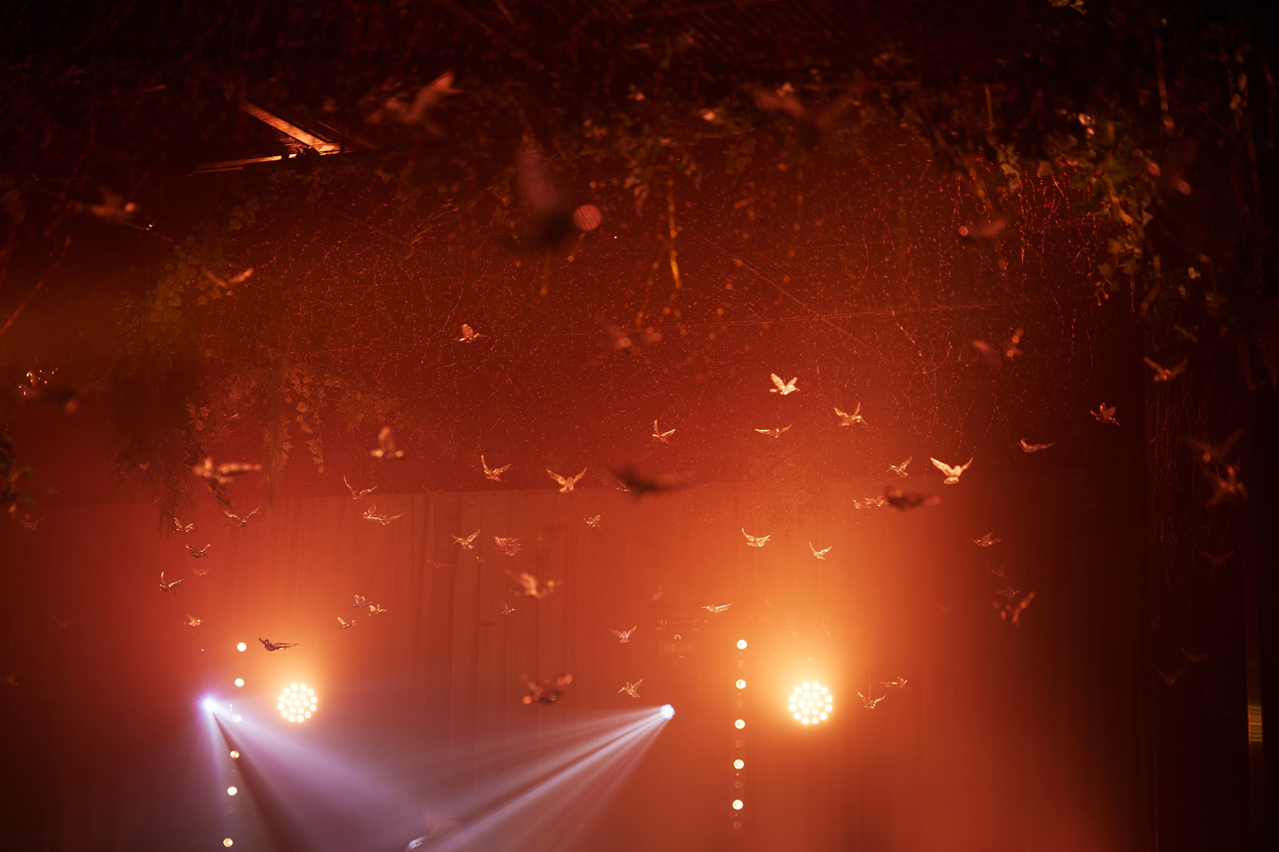 Сергей и Алина. Фотограф Айвазова Наталья Краснодар