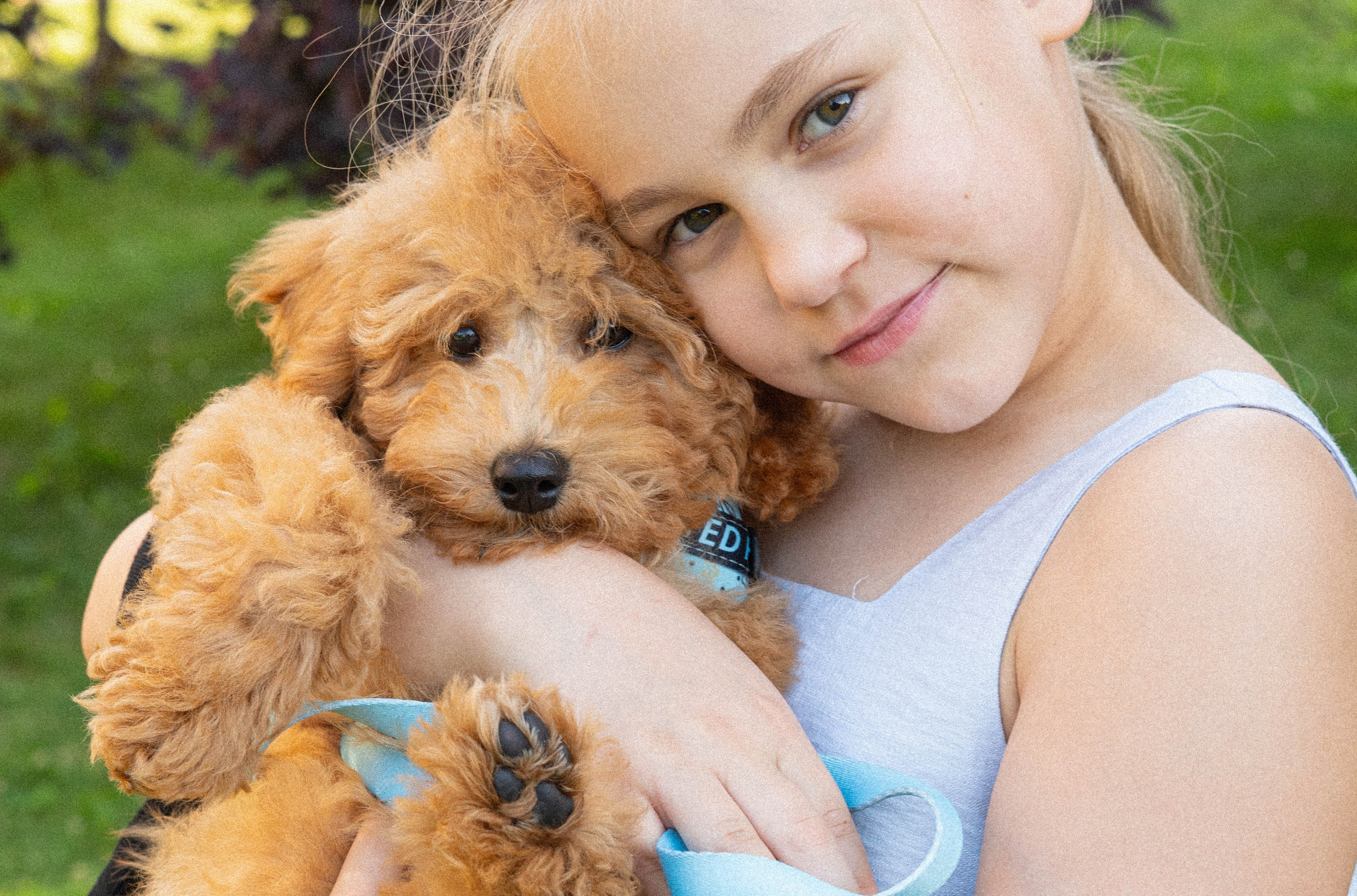 Прогулочная фотосессия Новосибирск Краснообск Love-story  фотосессия Новосибирск Краснообск