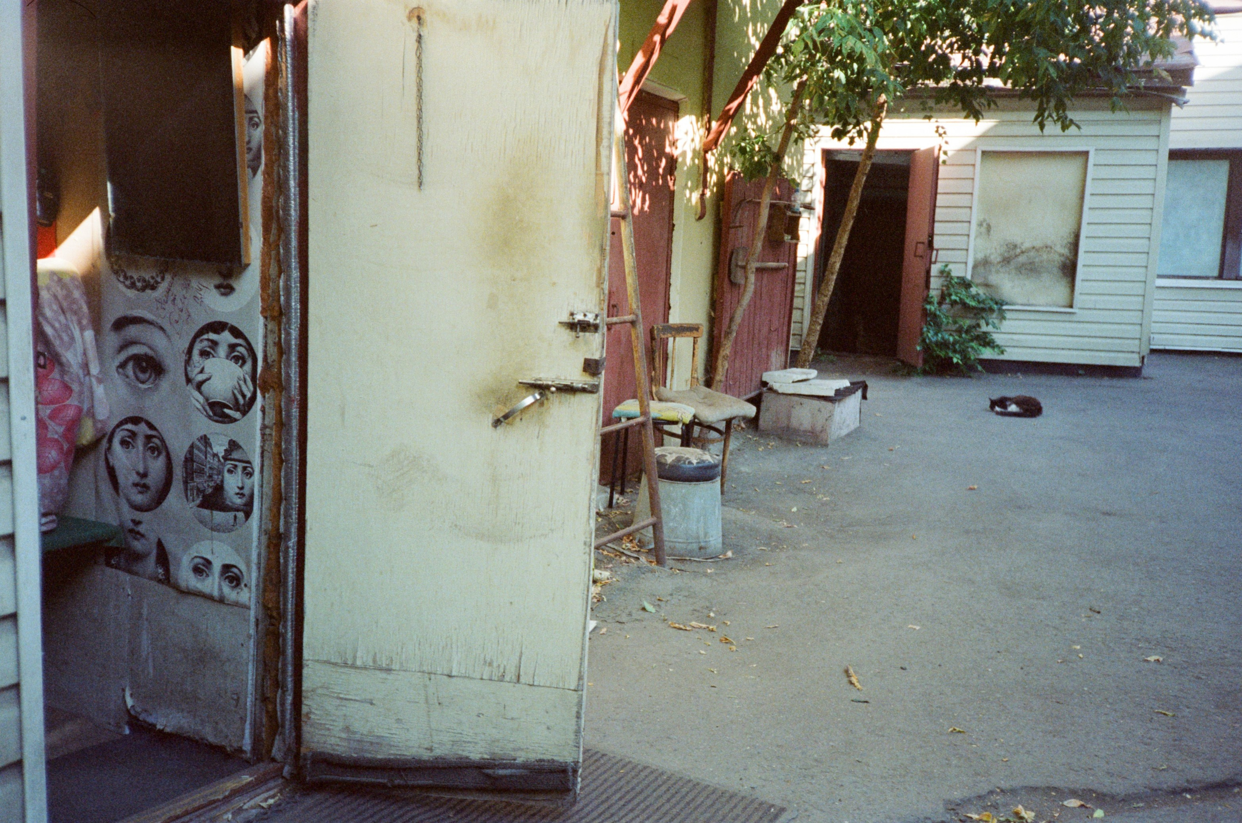 Автор: Степан Завизион