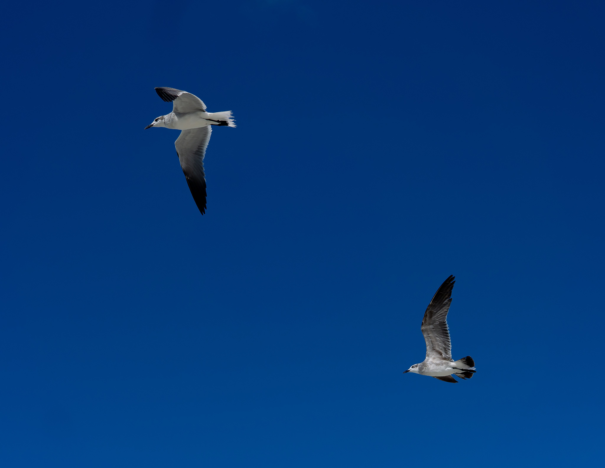 Автор: Юлия Першина