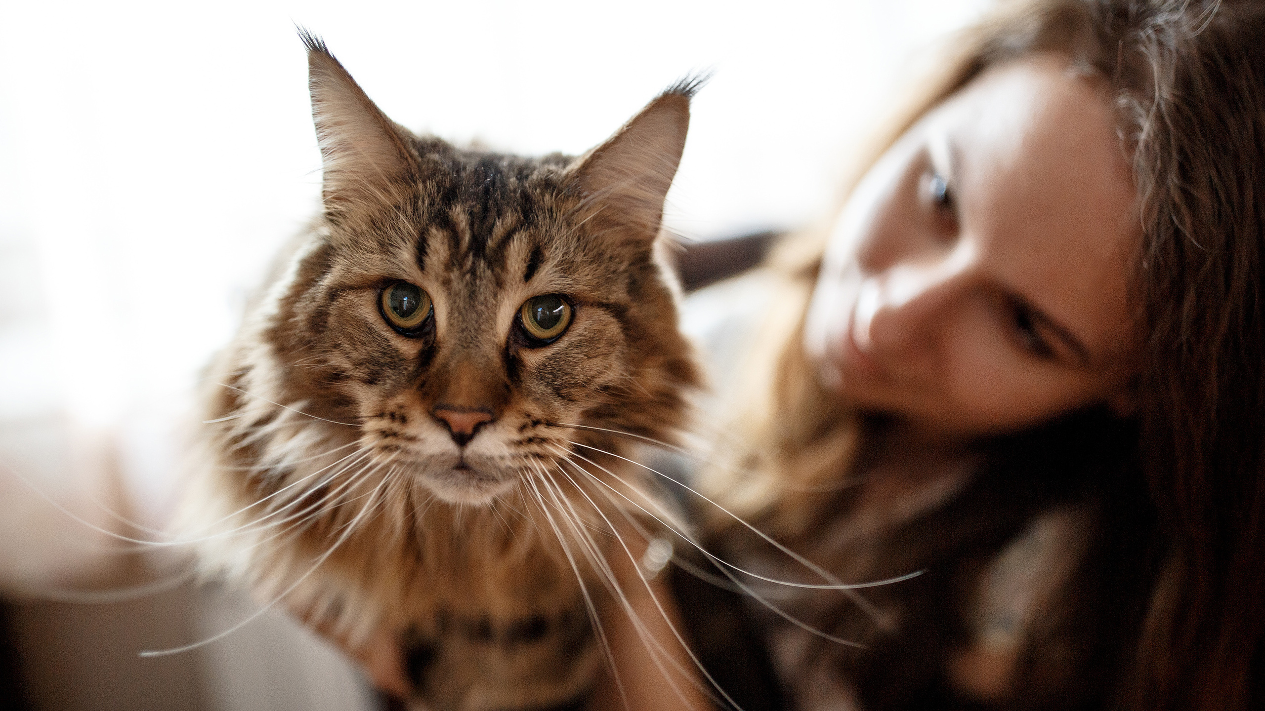 Рокки. Сергей Ветер, фотограф в Краснодаре