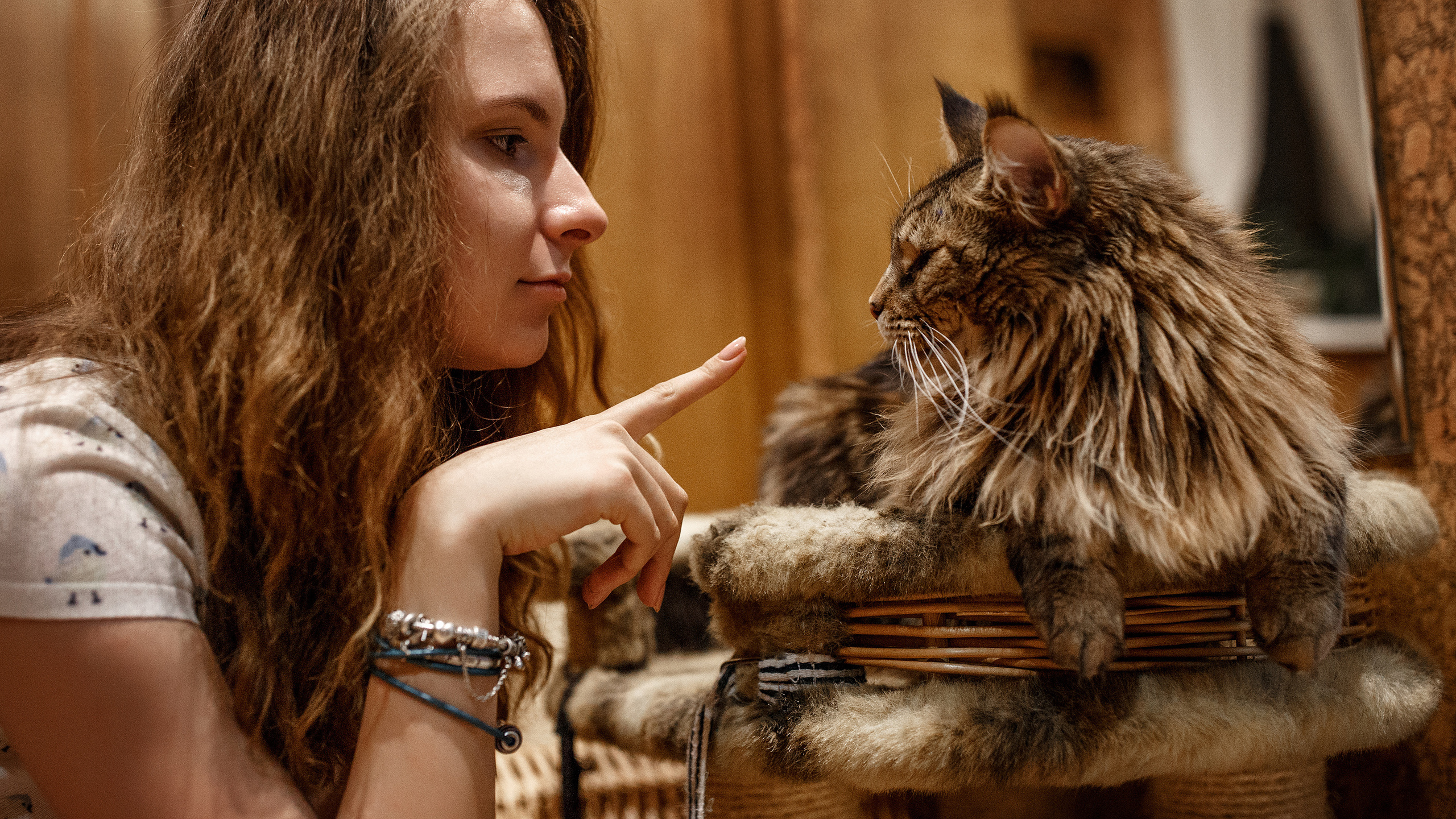 Рокки. Сергей Ветер, фотограф в Краснодаре