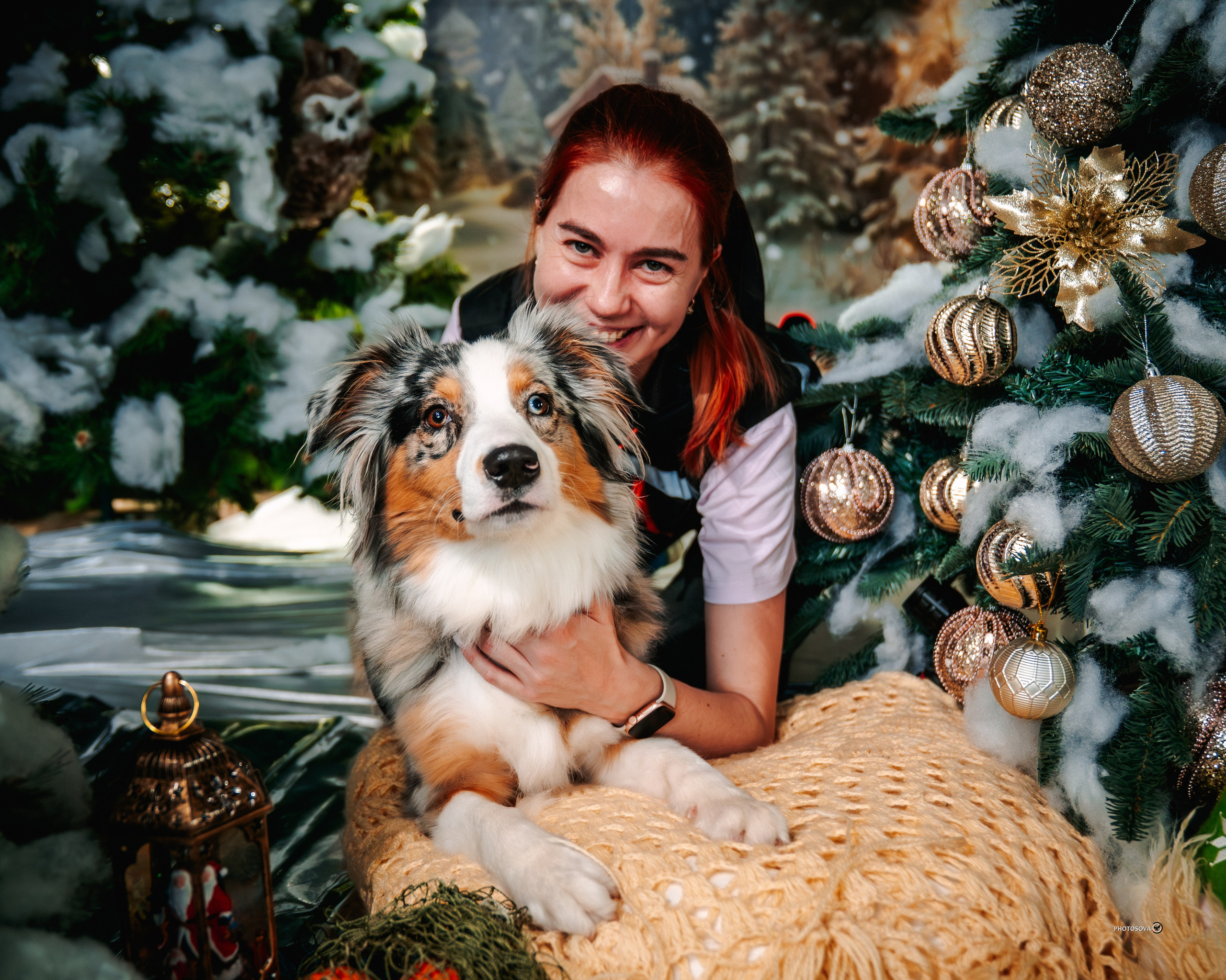 ФОТОПАМЯТЬ ВАШИХ ЭМОЦИЙ. Фотограф-анималист, семейный фотограф в Москве и Подмосковье. Фотосъёмка кинологических дисциплин