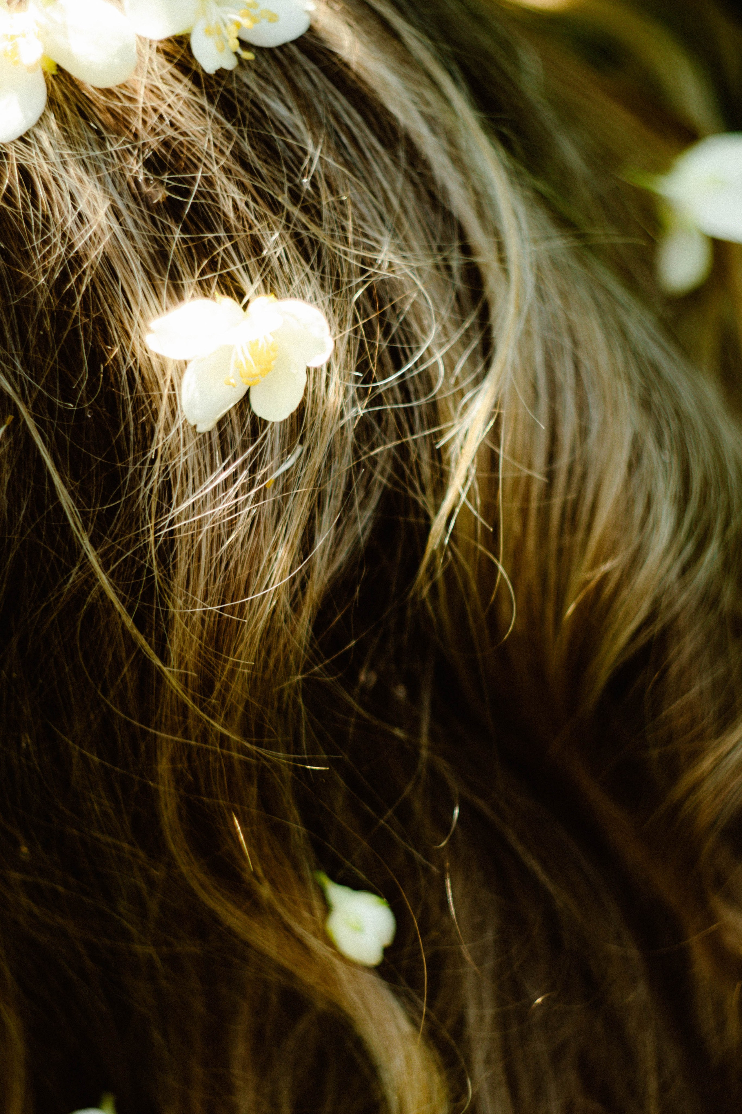 Таня в Жасмине. Фотограф в Нижнем Новгороде