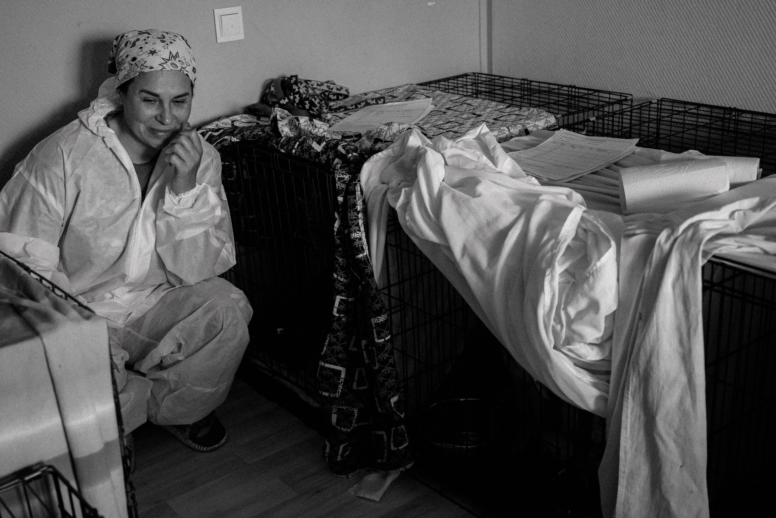 Шанс на жизнь (Животные пострадавшие в Туапсе). Фотограф Денис Труштин | dentrushtin