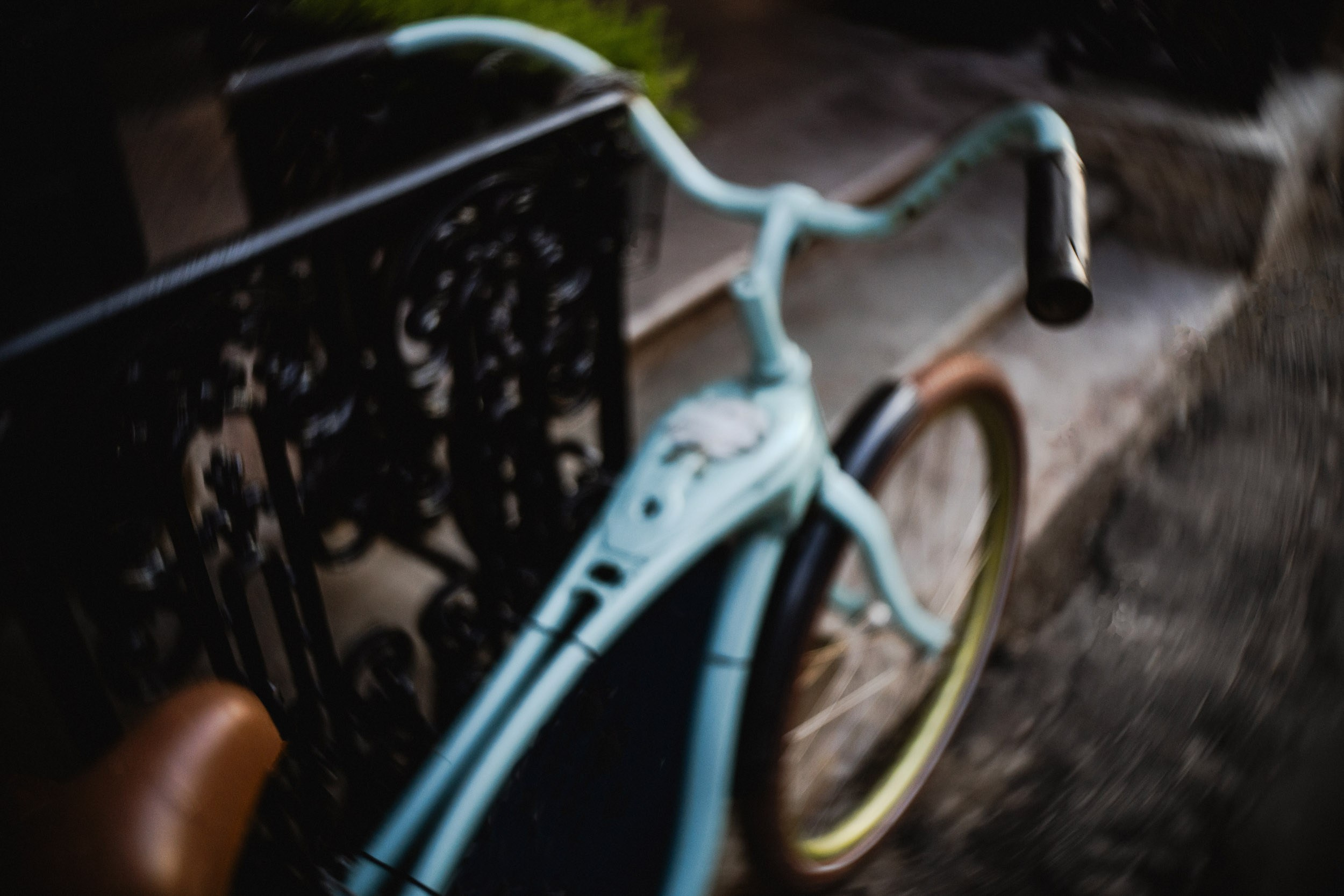 Saint Petersburg. The Andris