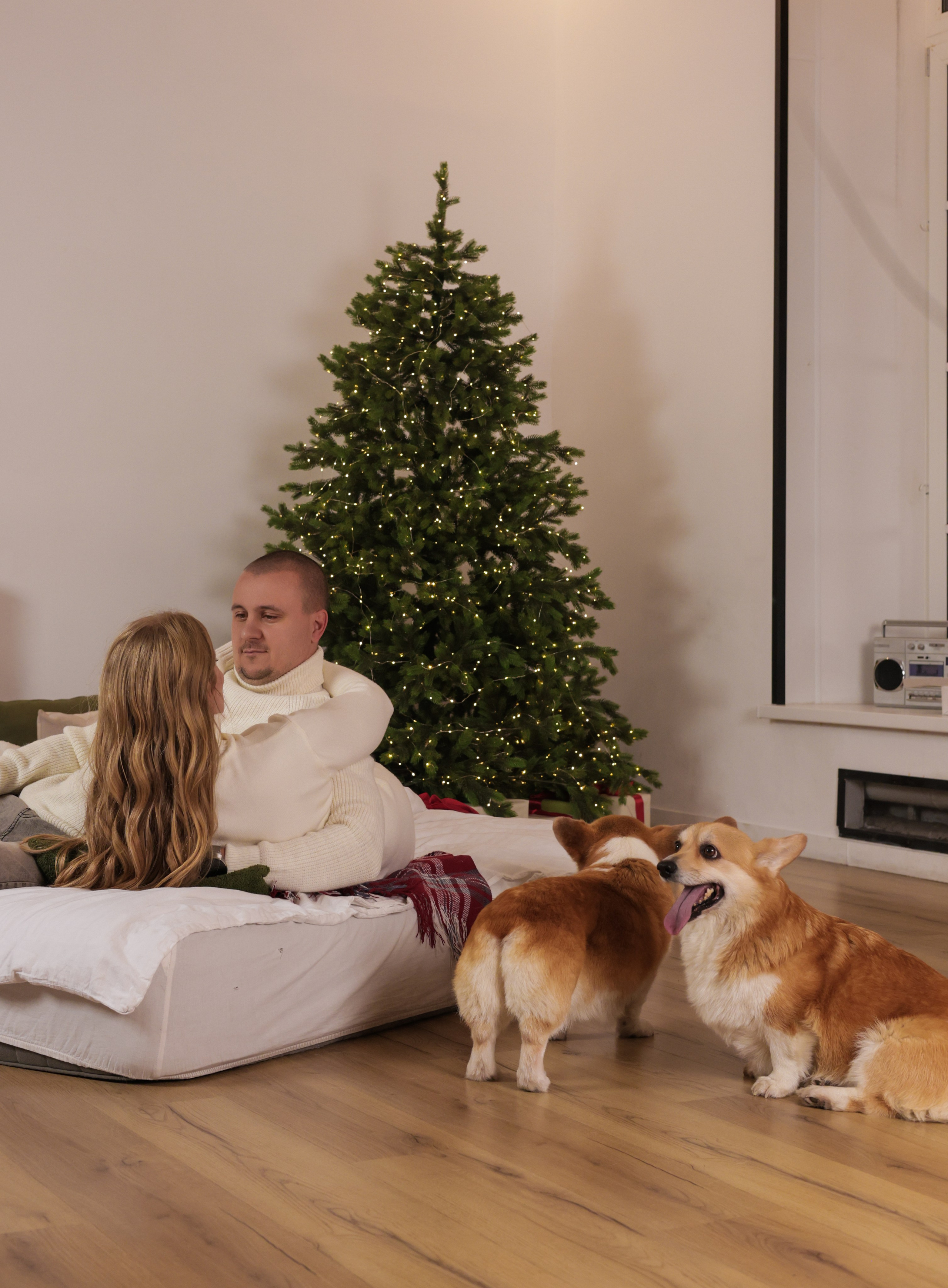 История с домашними любимцами 🐾. Женский портрет и немного больше в Санкт-Петербурге