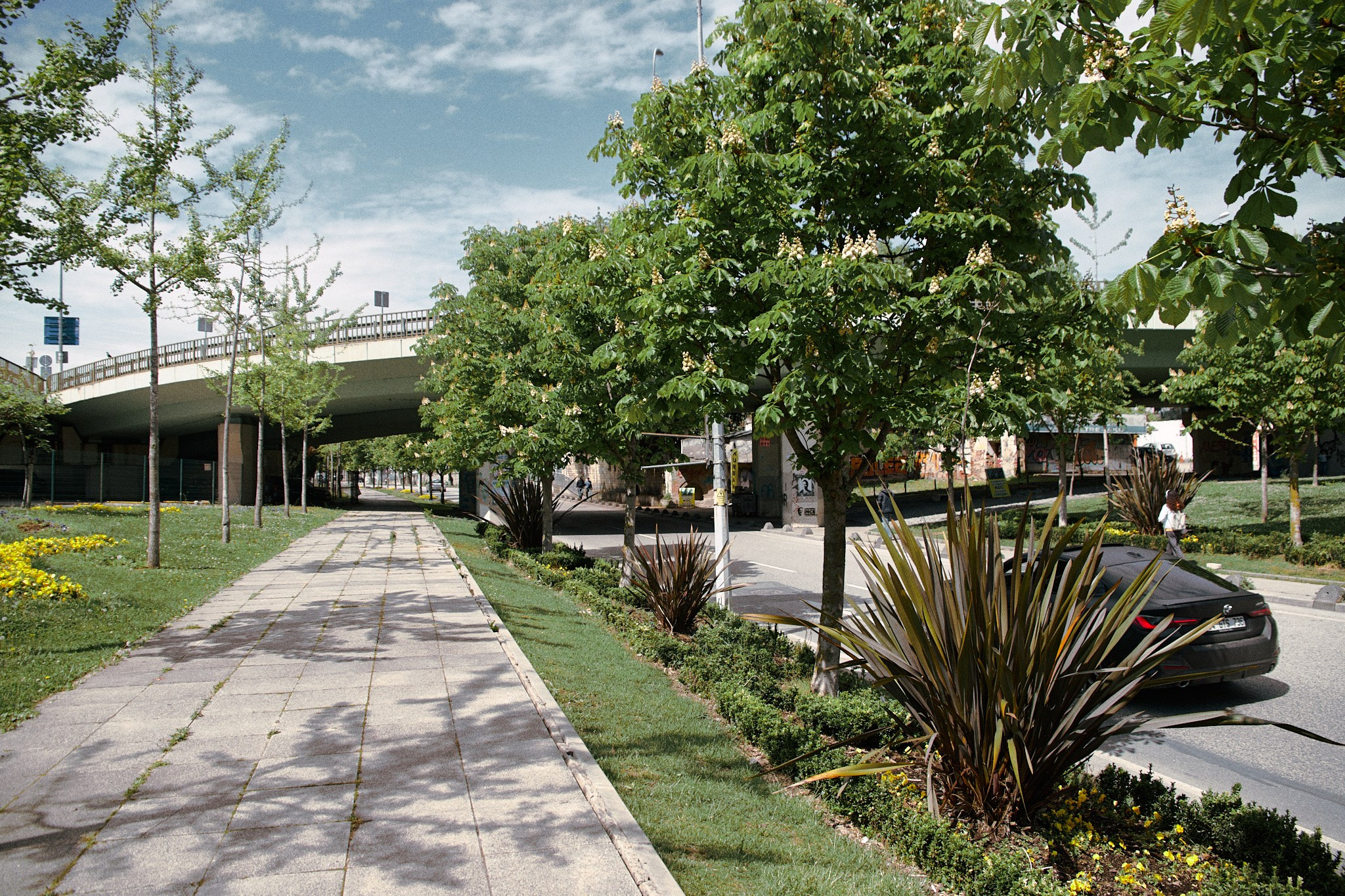 Улица горизонтальная. Jorgis — фотограф в Хургаде / обучение фотографии