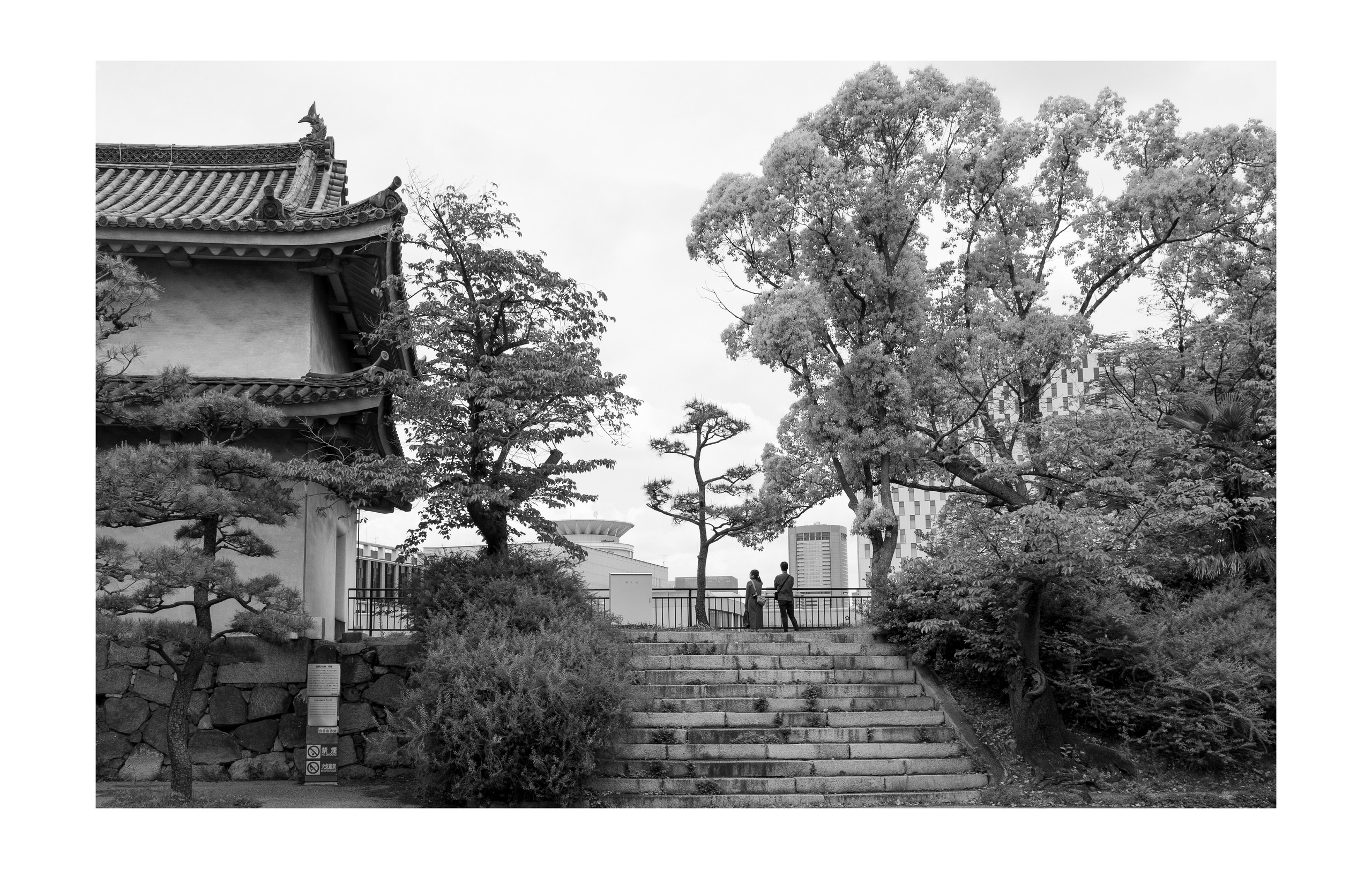 Япония. Фотографии Руслана Сайдалиева (Рус Сай)