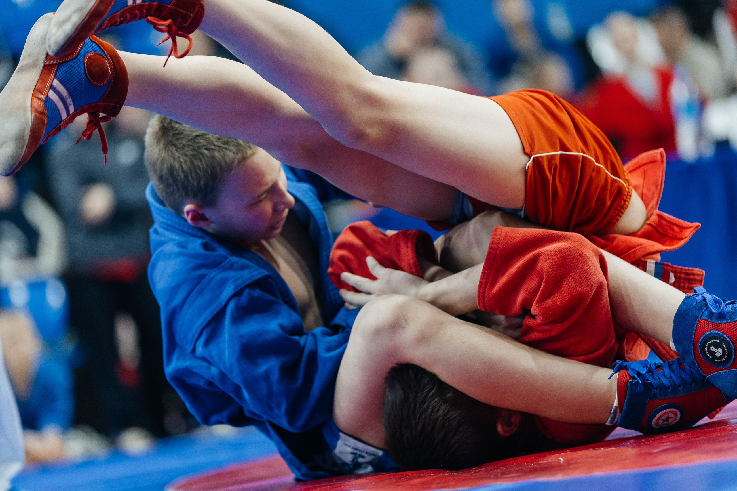 Sambo Championship. Maxim Tsoy Photography