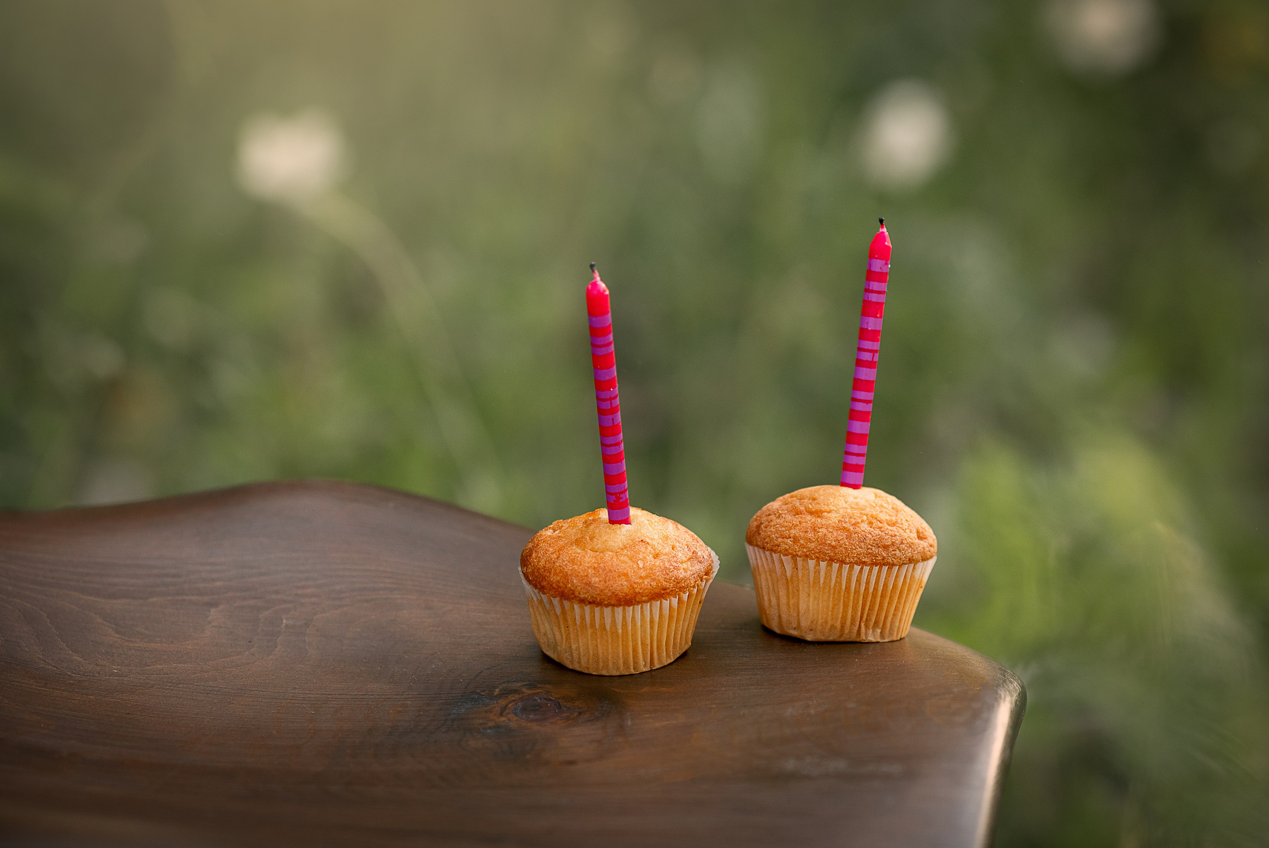 Один день рождения на двоих. Детский и семейный фотограф в Красноярске Елена Коровкина