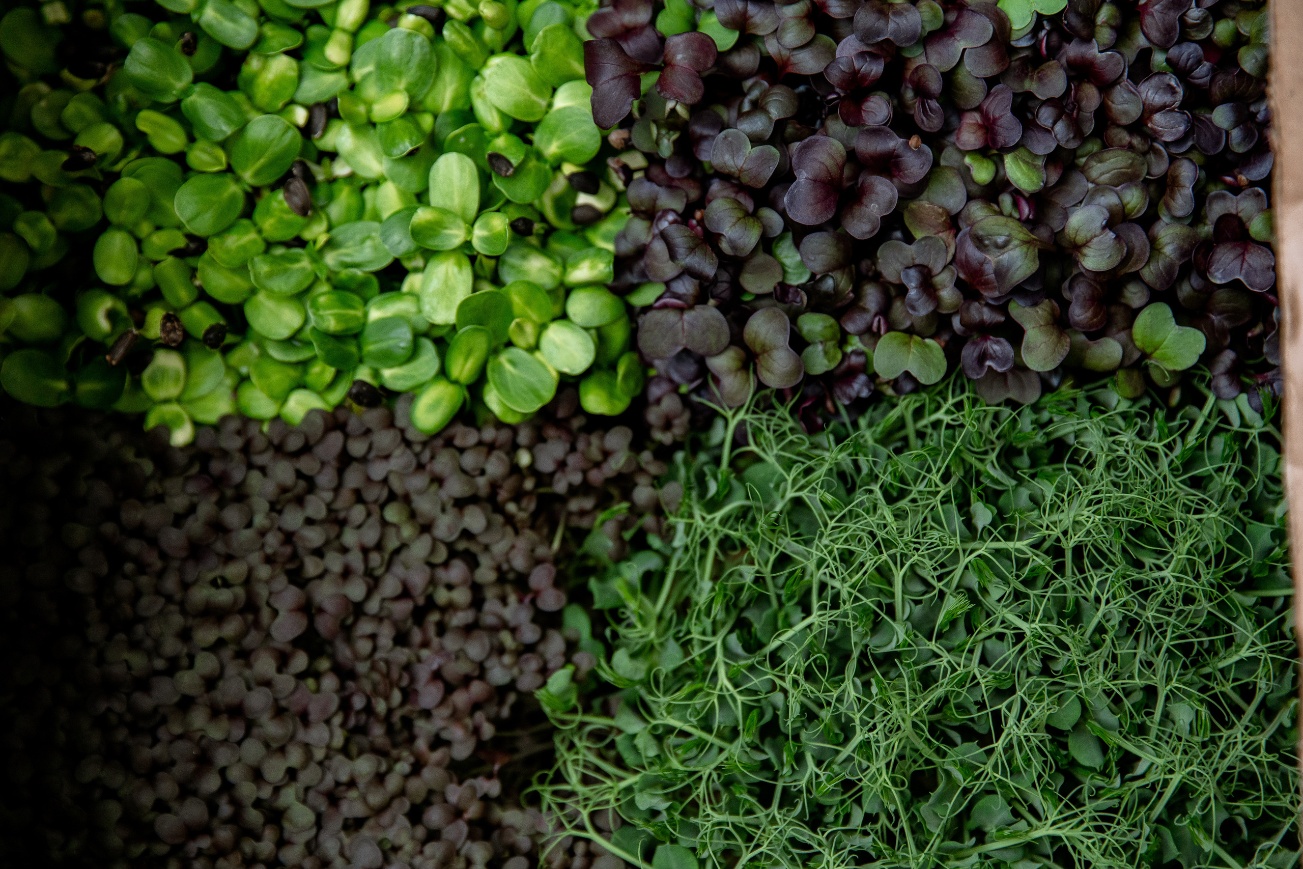 Backstage для Кейтеринг. Свадебный и репортажный фотограф Москва — Олег Акентьев