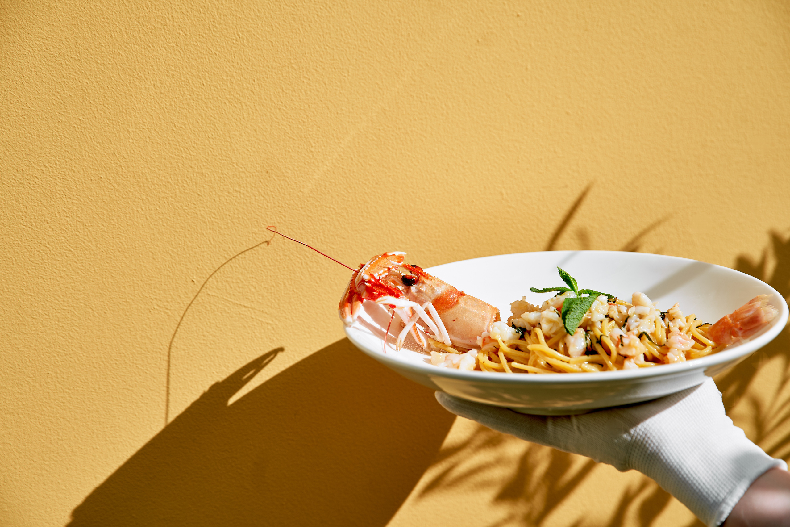 ASUNTA MADRE SMM контент. Фотограф в Москве и по всему миру — Олег Акентьев (Events, Светская Хроника, FTP)