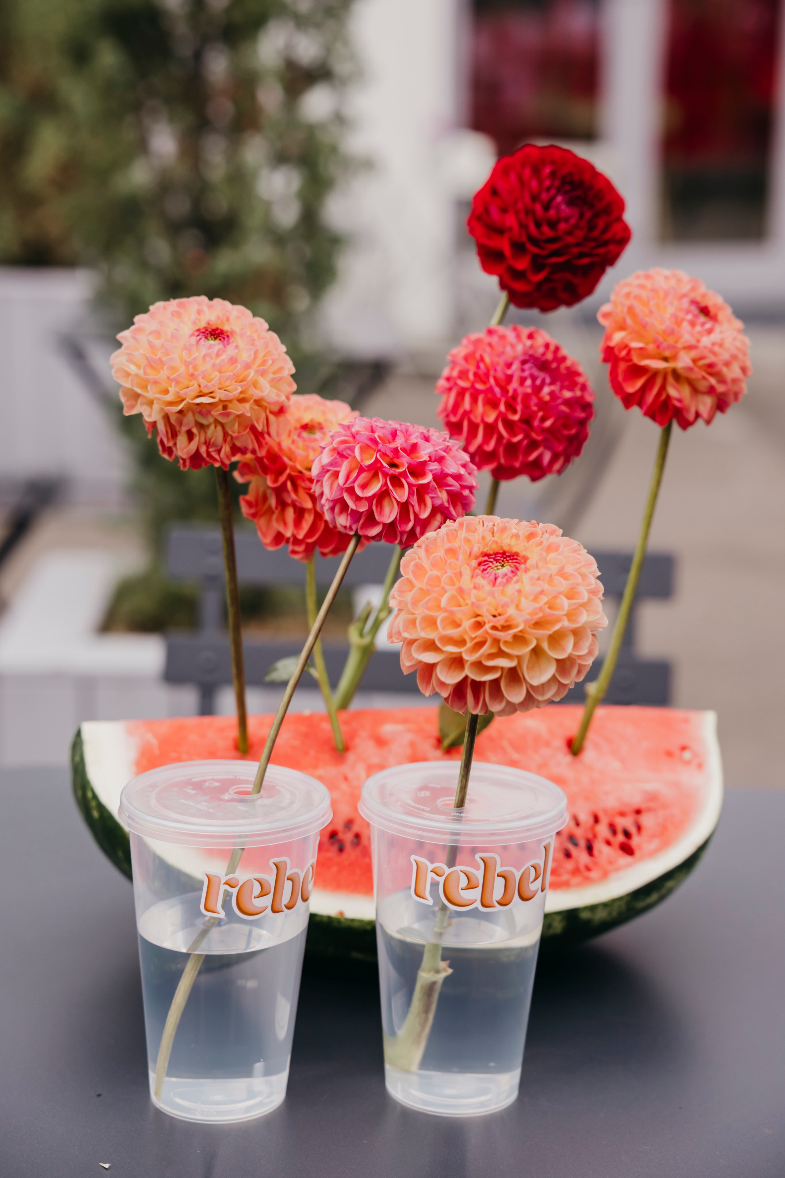 «Rebel» by «Molecule». «Птичка на проводе»: информационный портал в Москве