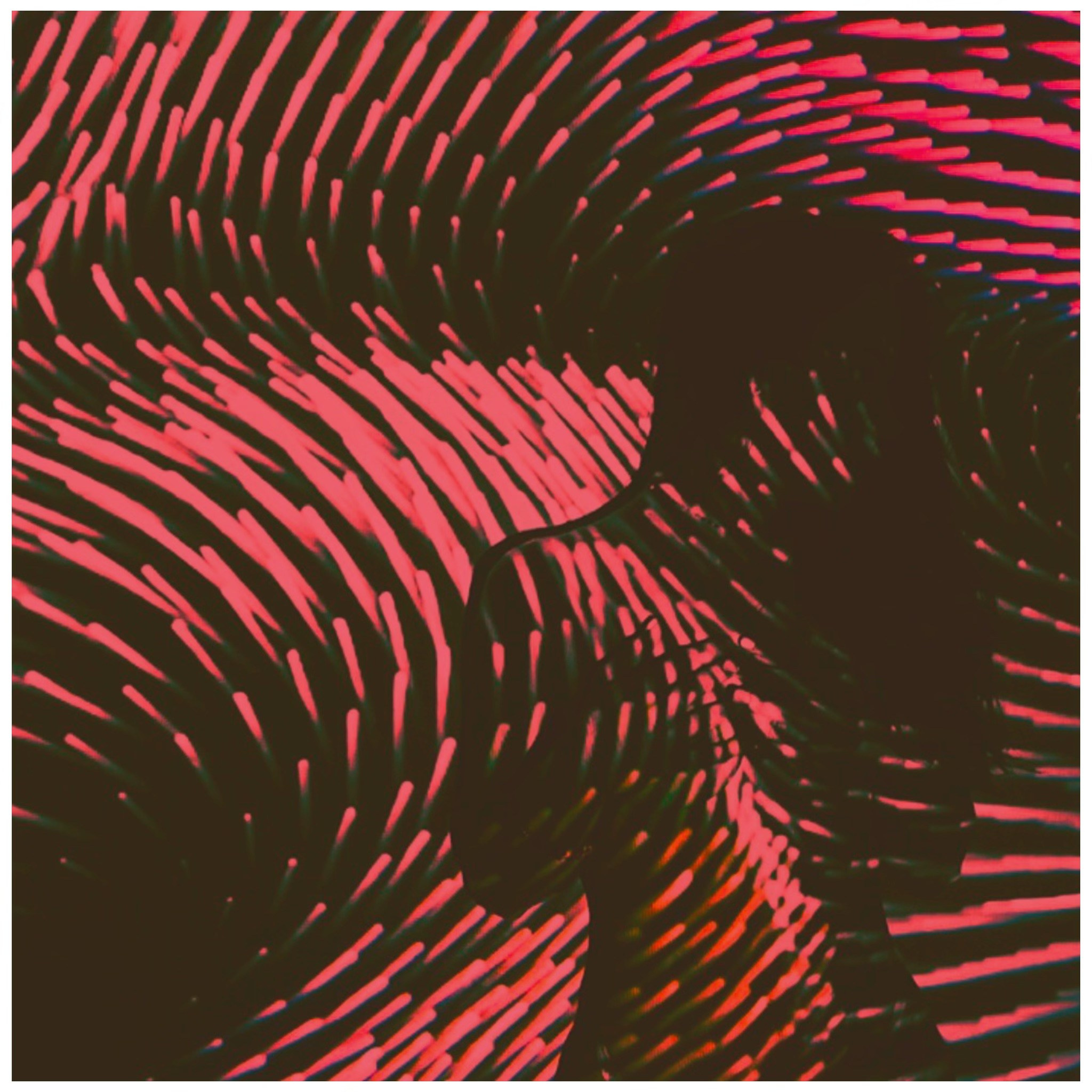 Фотограф из Москвы. Иван Носков