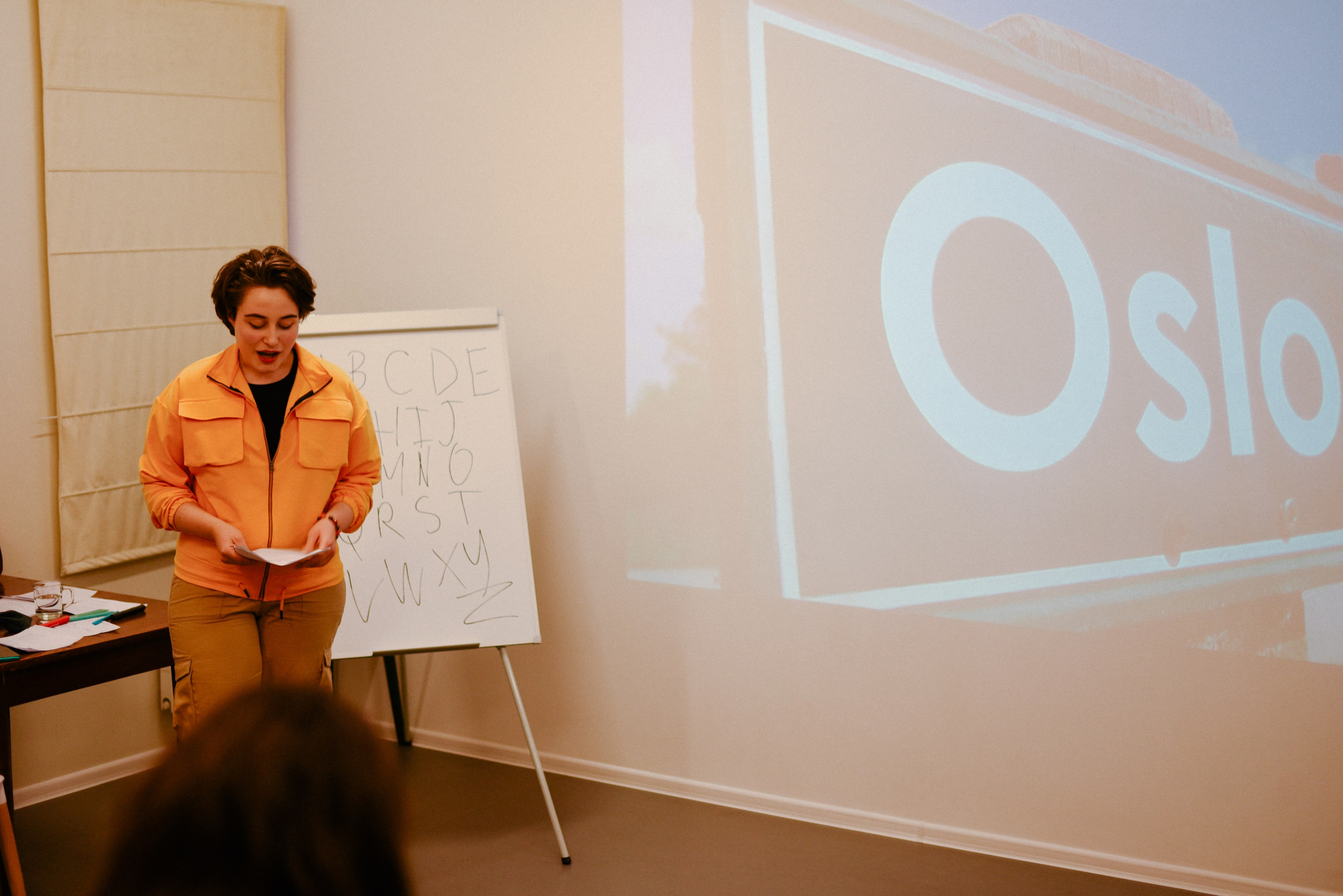 ЧТО ТЫ МЕЛЕШь Норвегия. Фотограф Лола Волна, город Москва