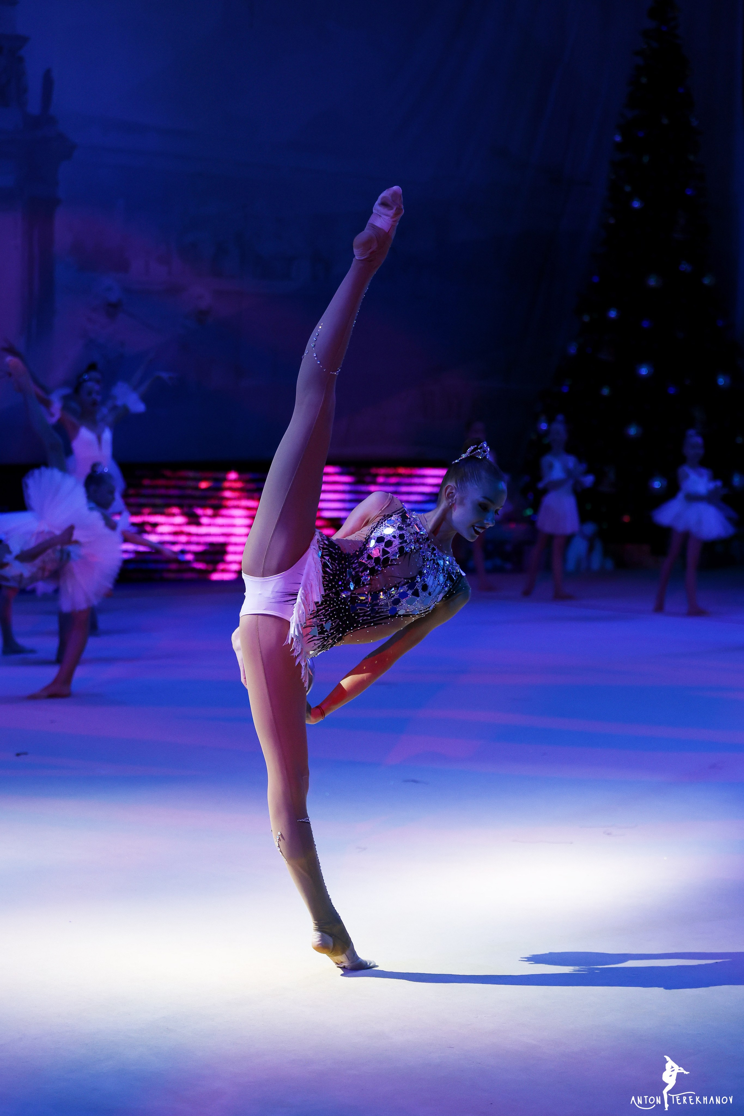 «В гостях с сказки» 29 декабря 2022. Спортивный и репортажный фотограф Антон Тереханов