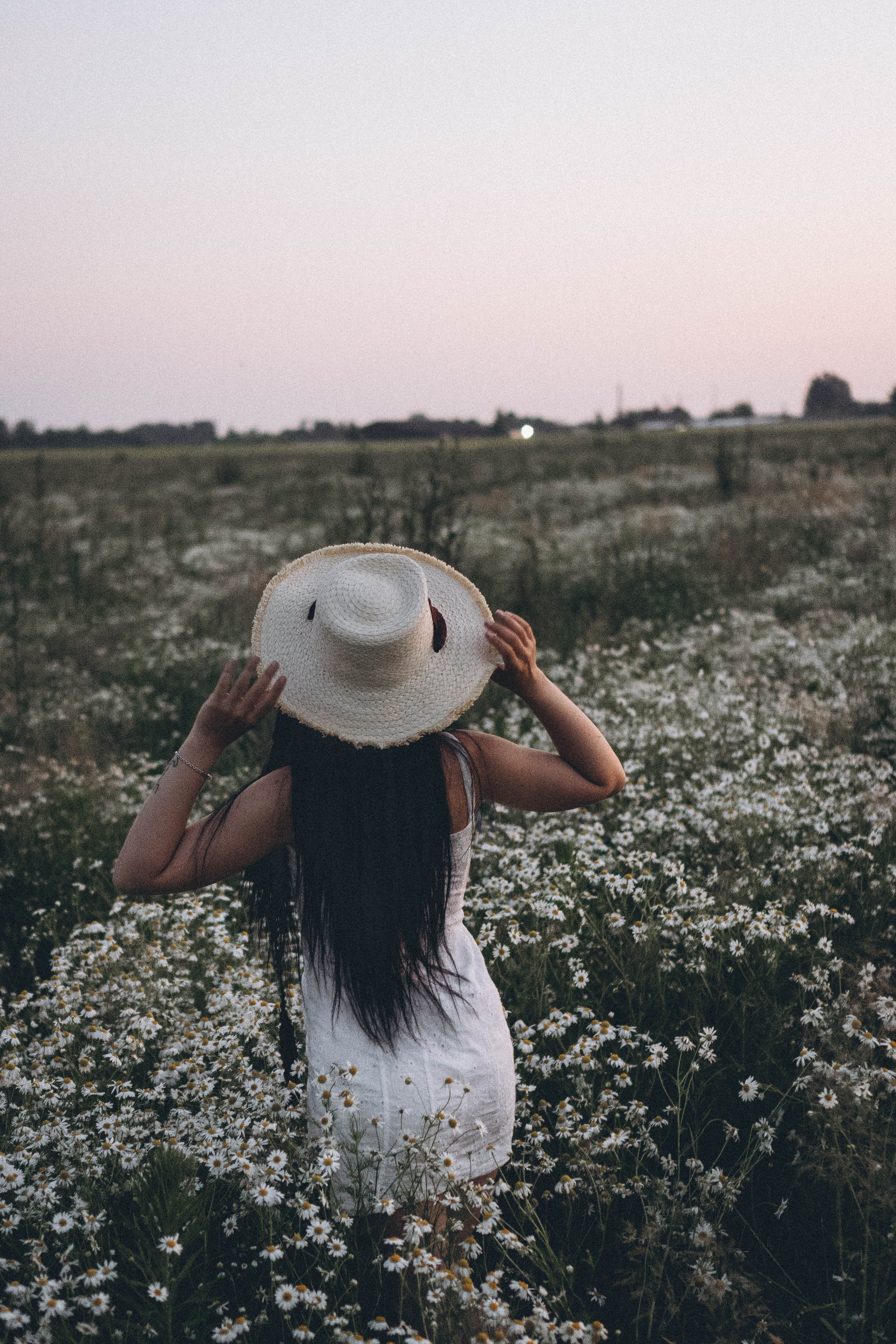 Ромашковое поле. Профессиональный фотограф, Санкт-Петербург — Виктория Богомолова