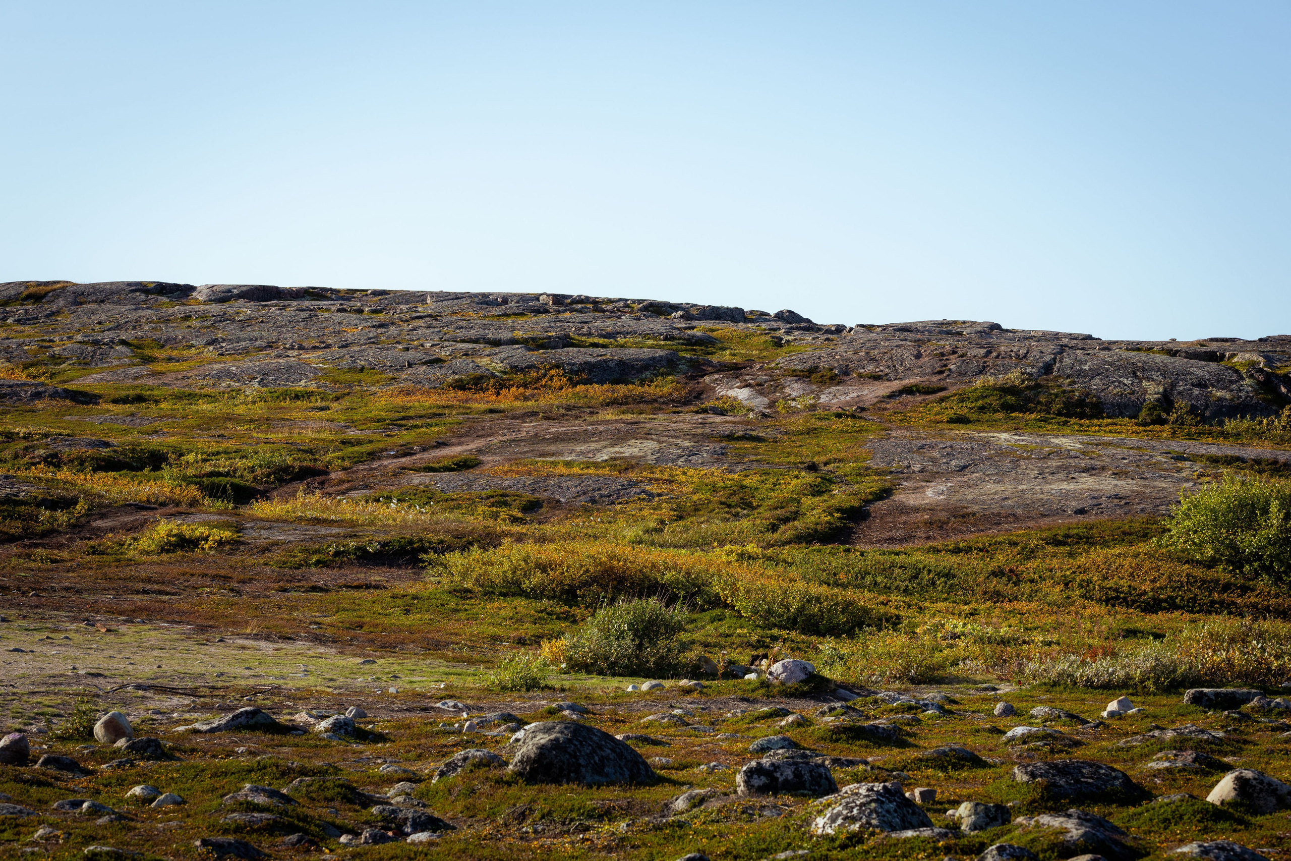 Кольский (осень 2025). Фотограф Виноградов Константин