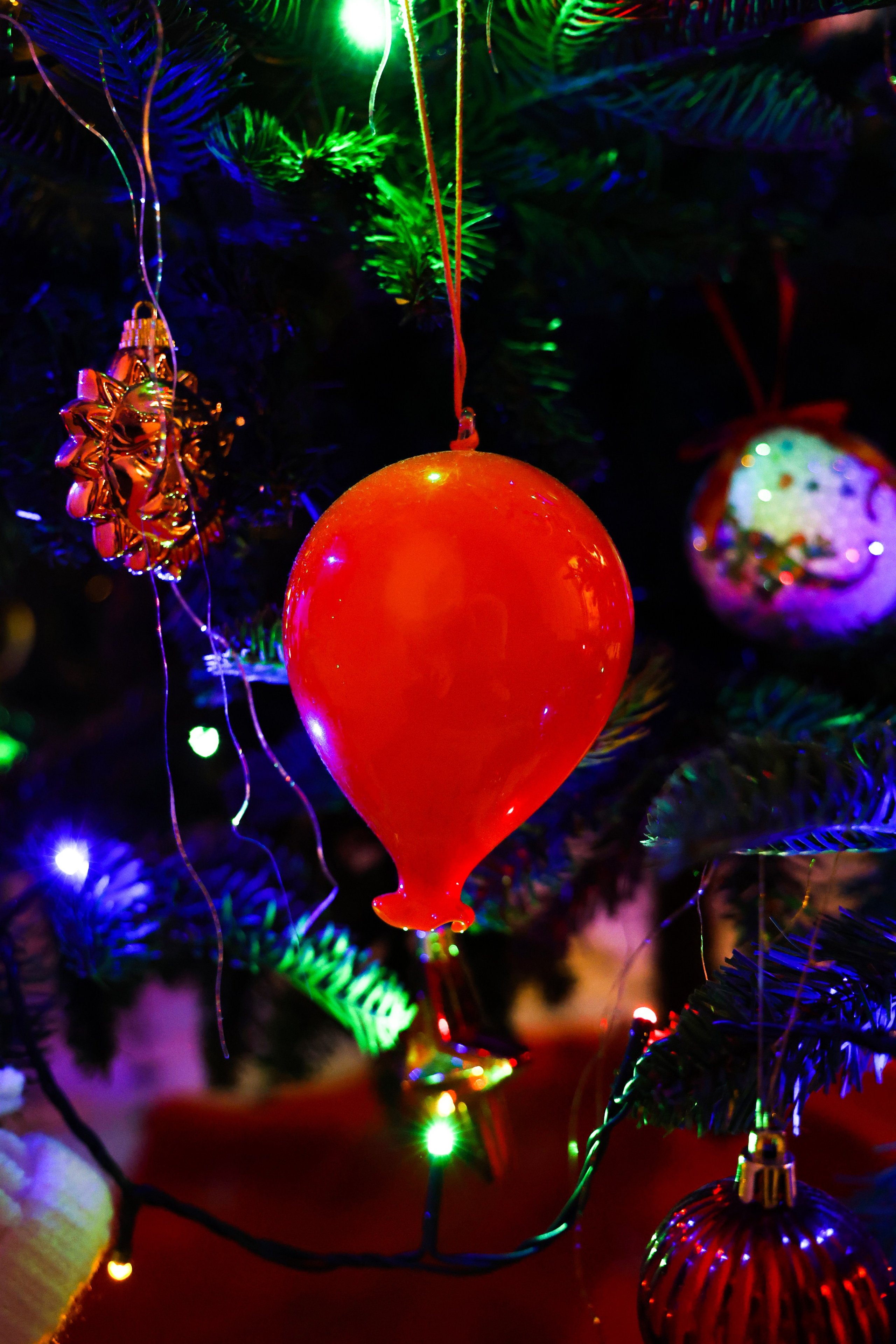 Christmas tree. Portrait photographer based in Toronto — Blinova Mariia