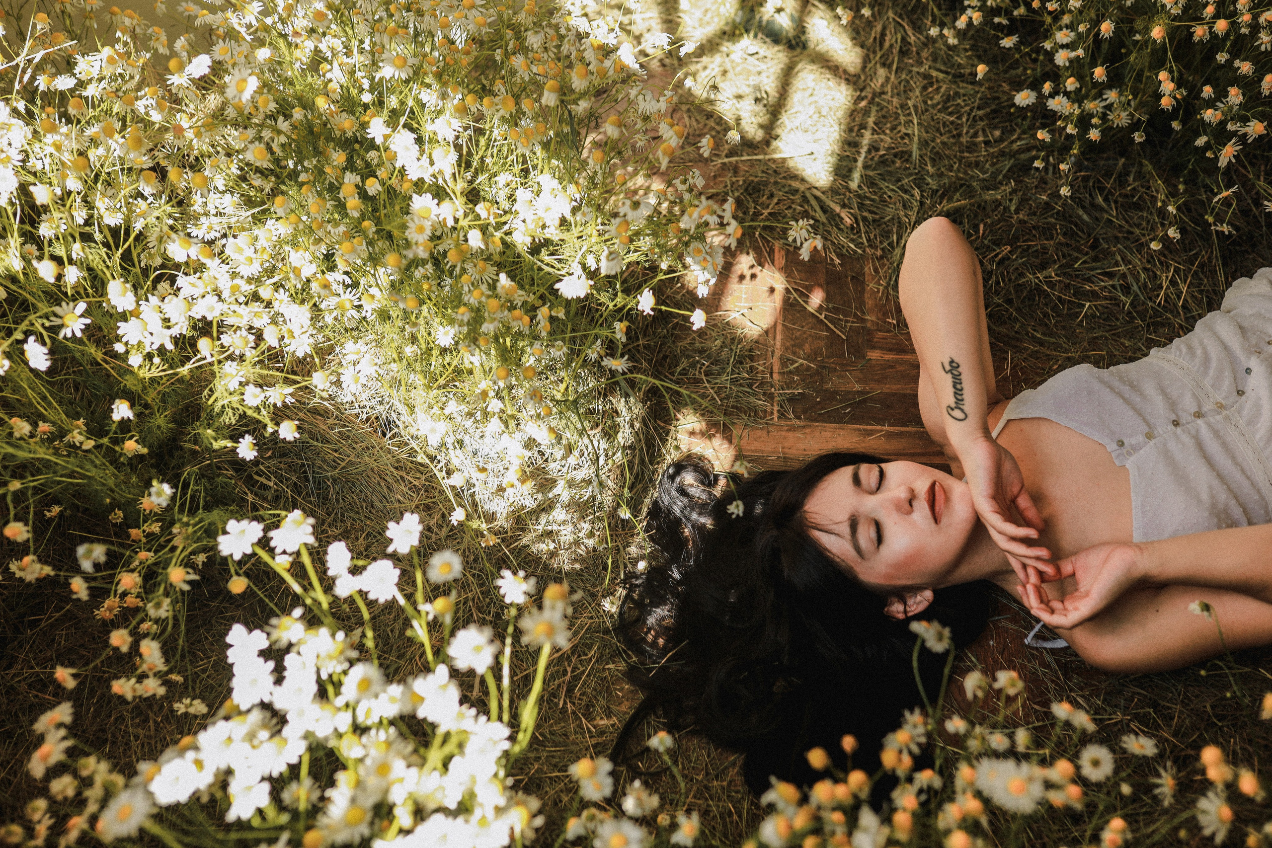 Сон в летнюю ночь | Ромашковое поле