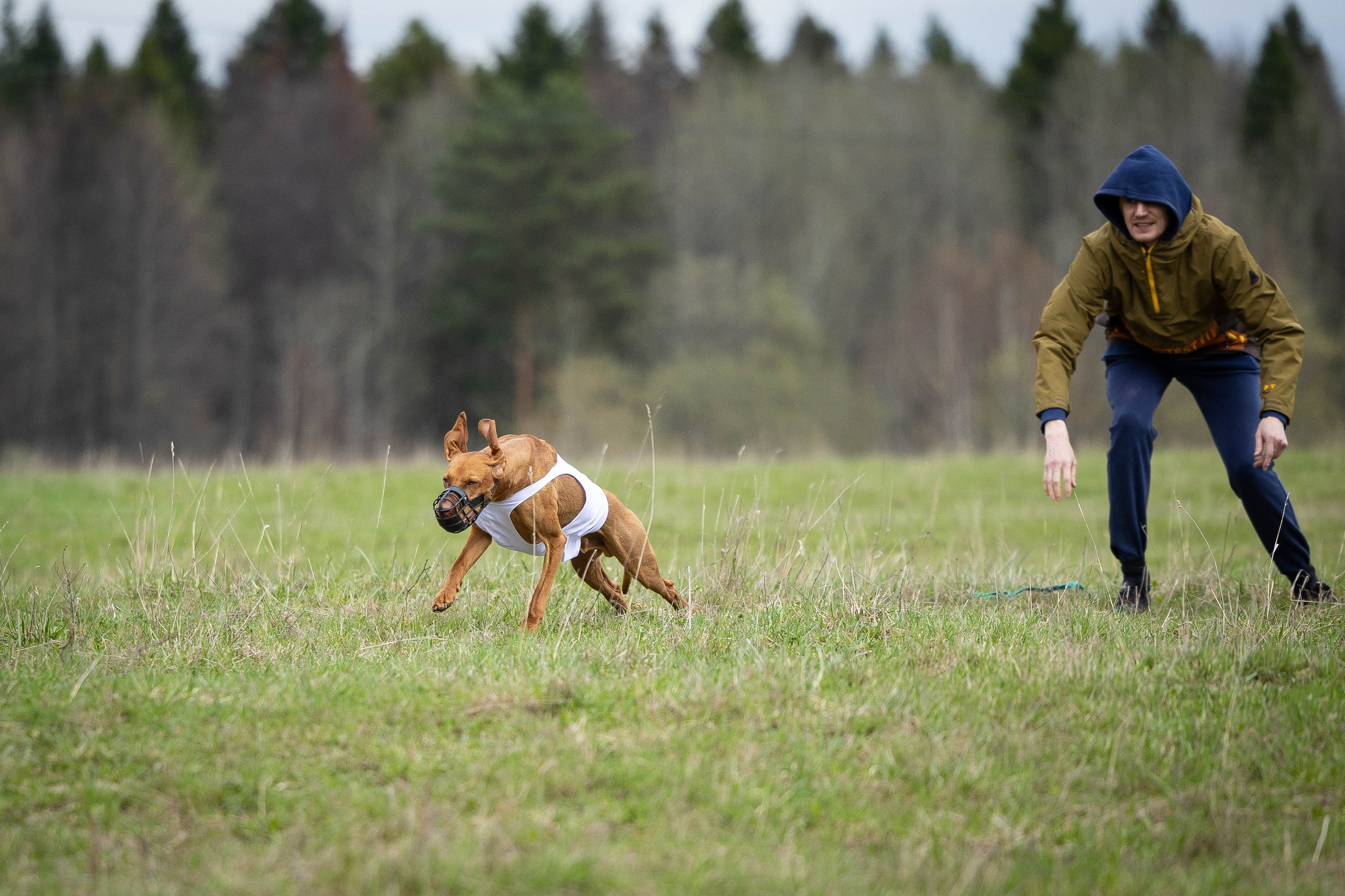 Курсинг. Фотограф Анималист в Перми Анастасия Остерман
