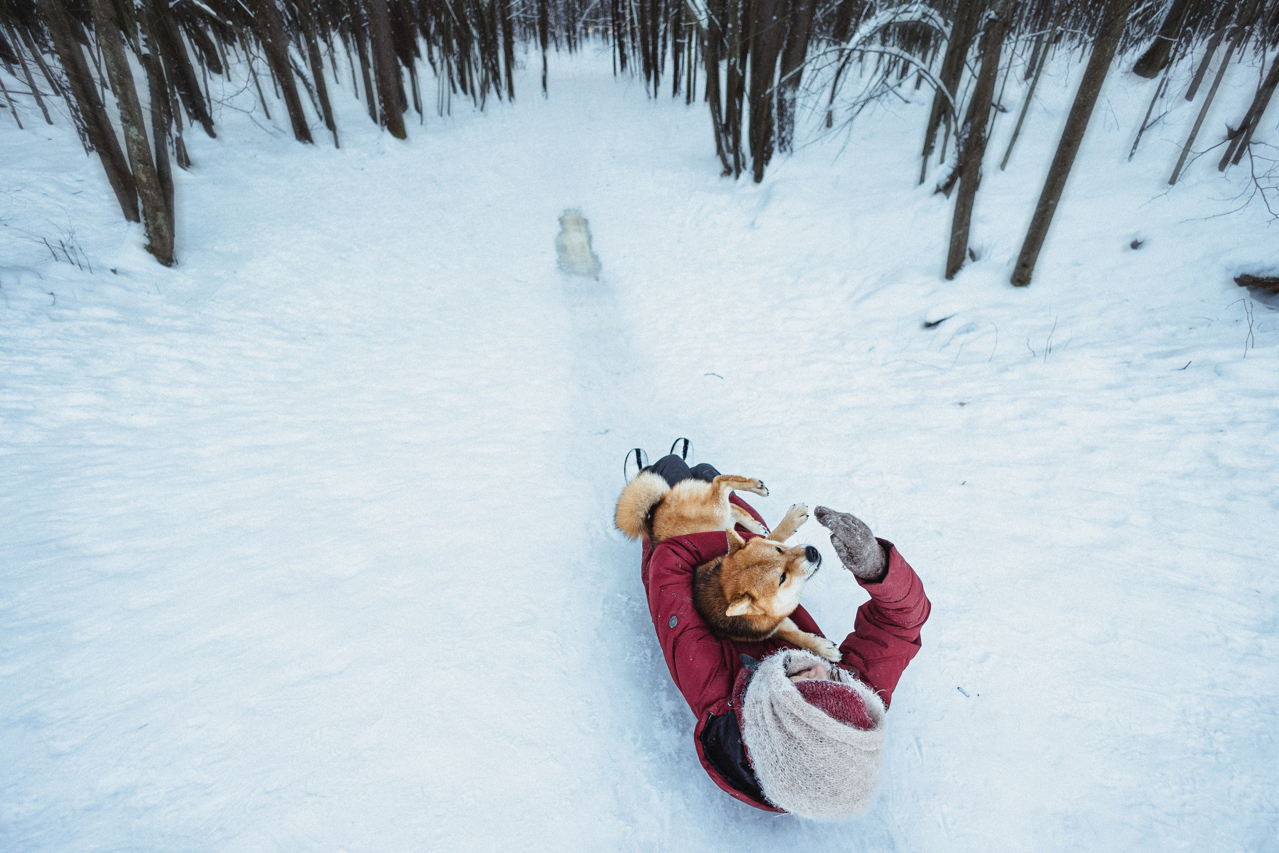 Шед, Цири и Ира